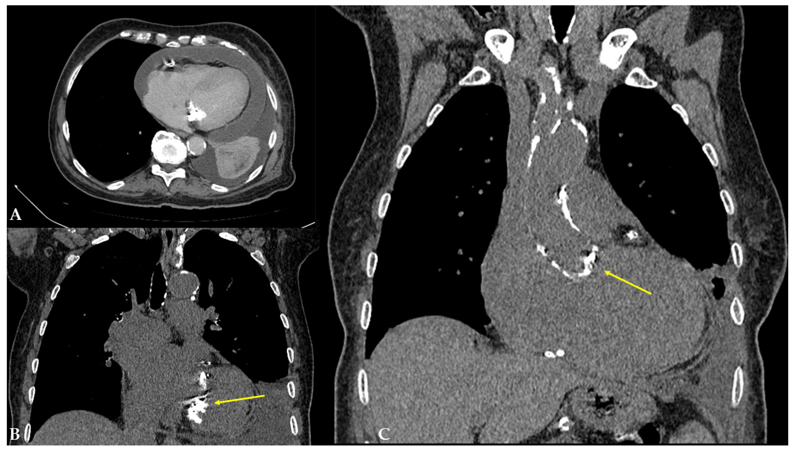 Reports 08 00079 g003