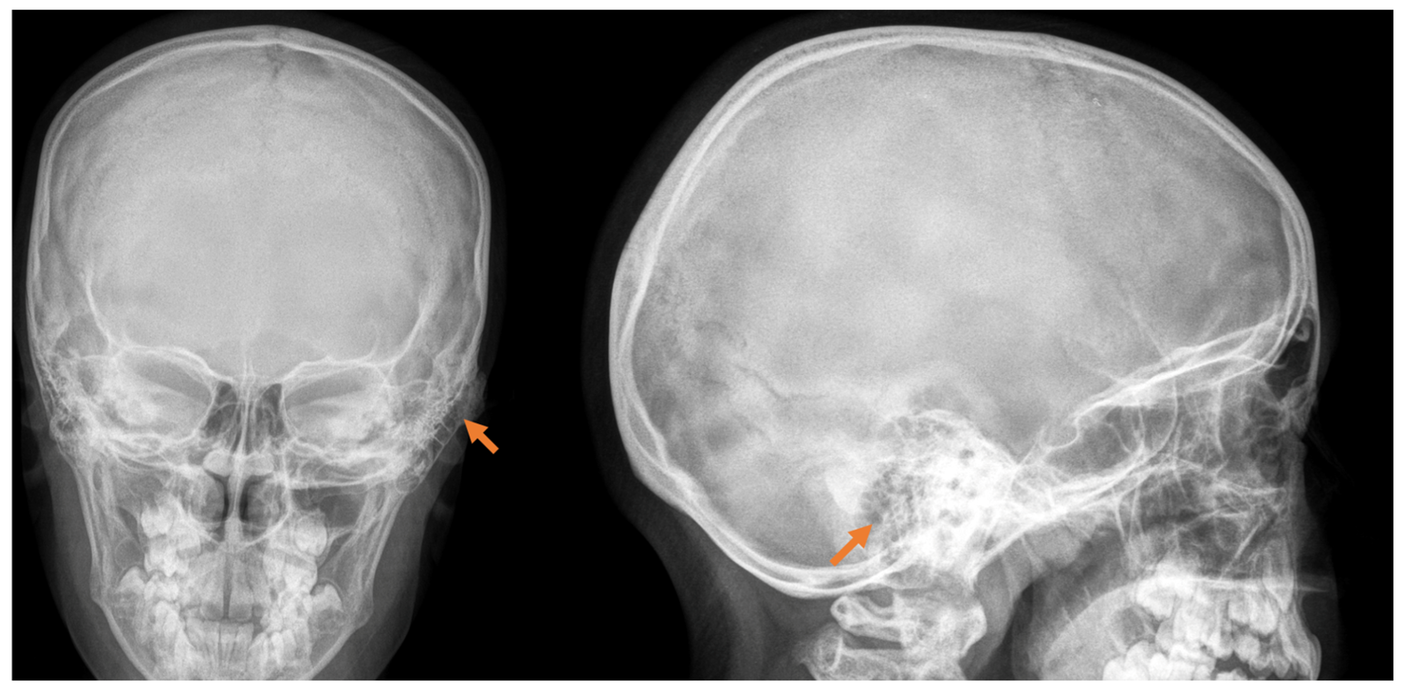 Reports 08 00081 g001