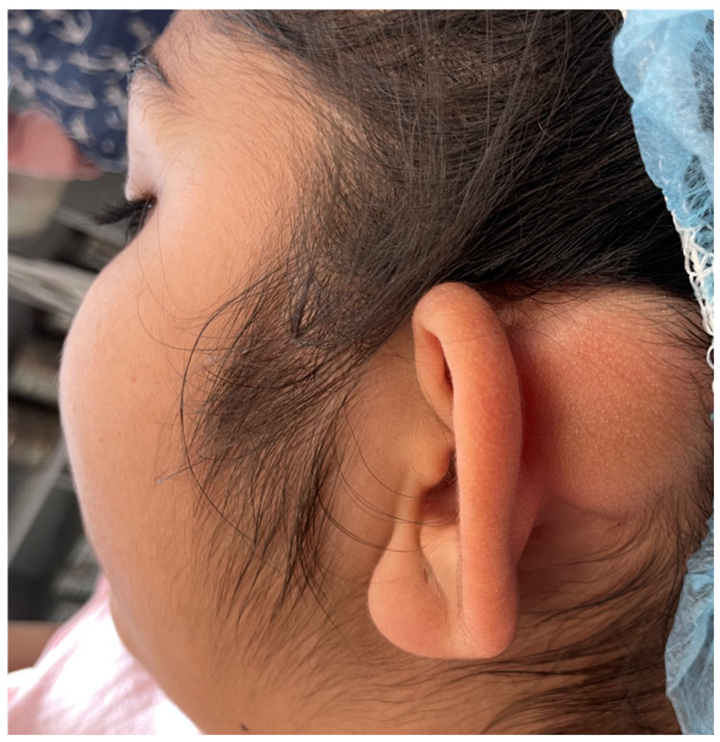 Reports 08 00081 g002