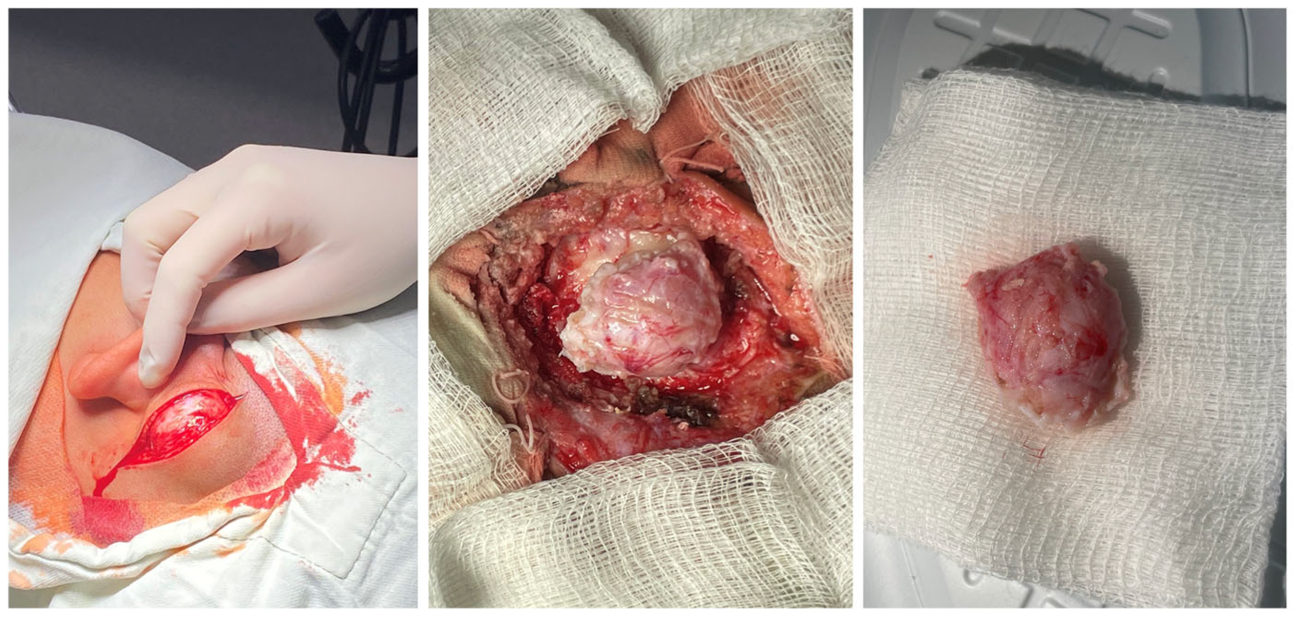 Reports 08 00081 g004