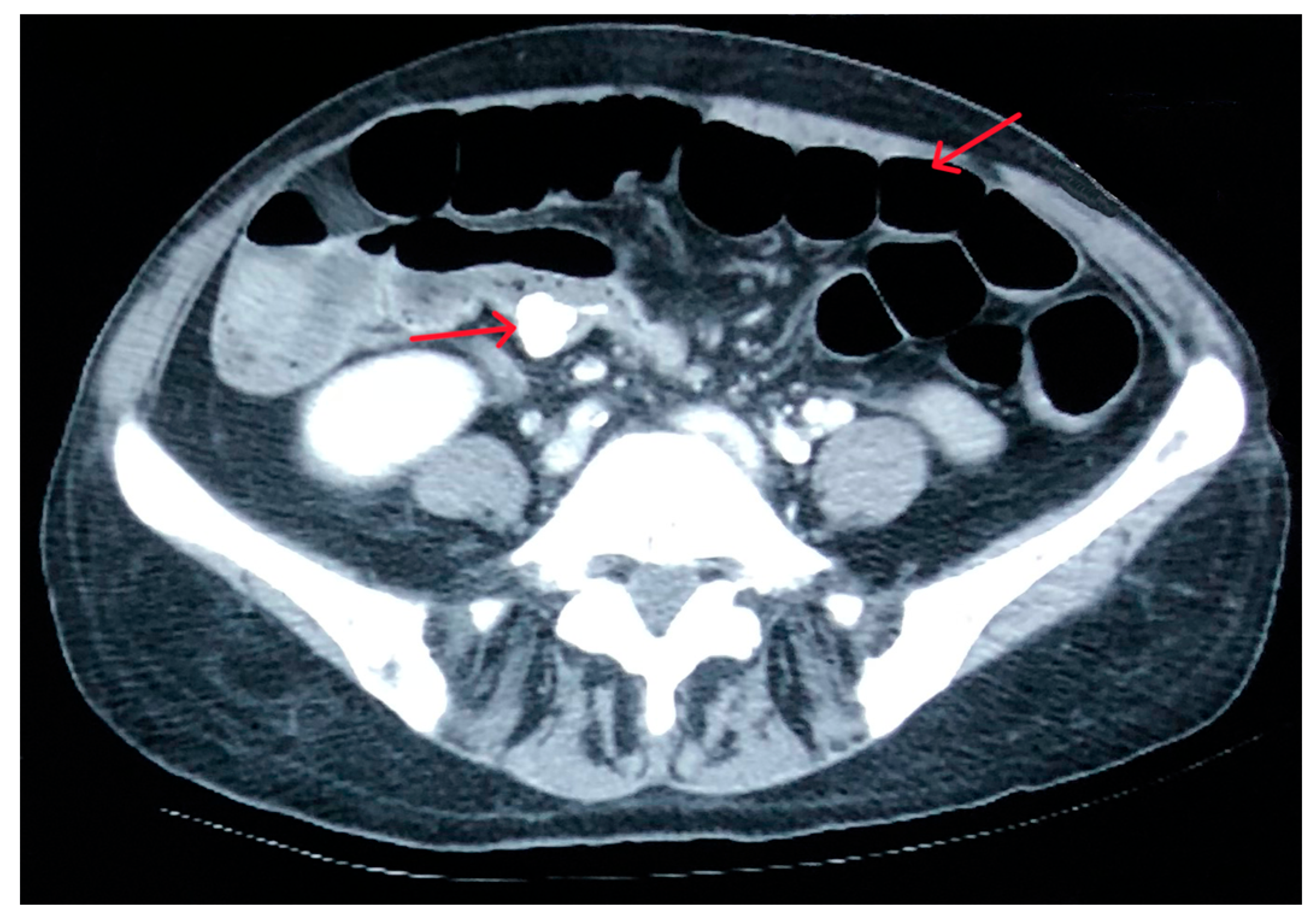 Reports 08 00082 g001