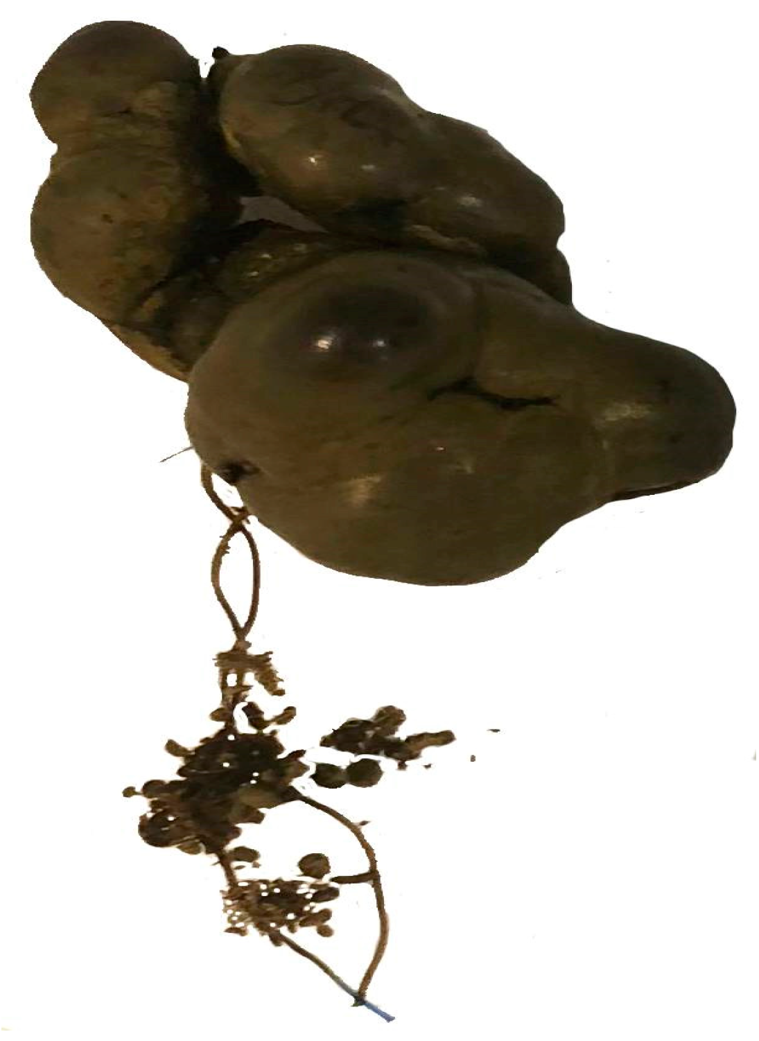 Reports 08 00082 g002