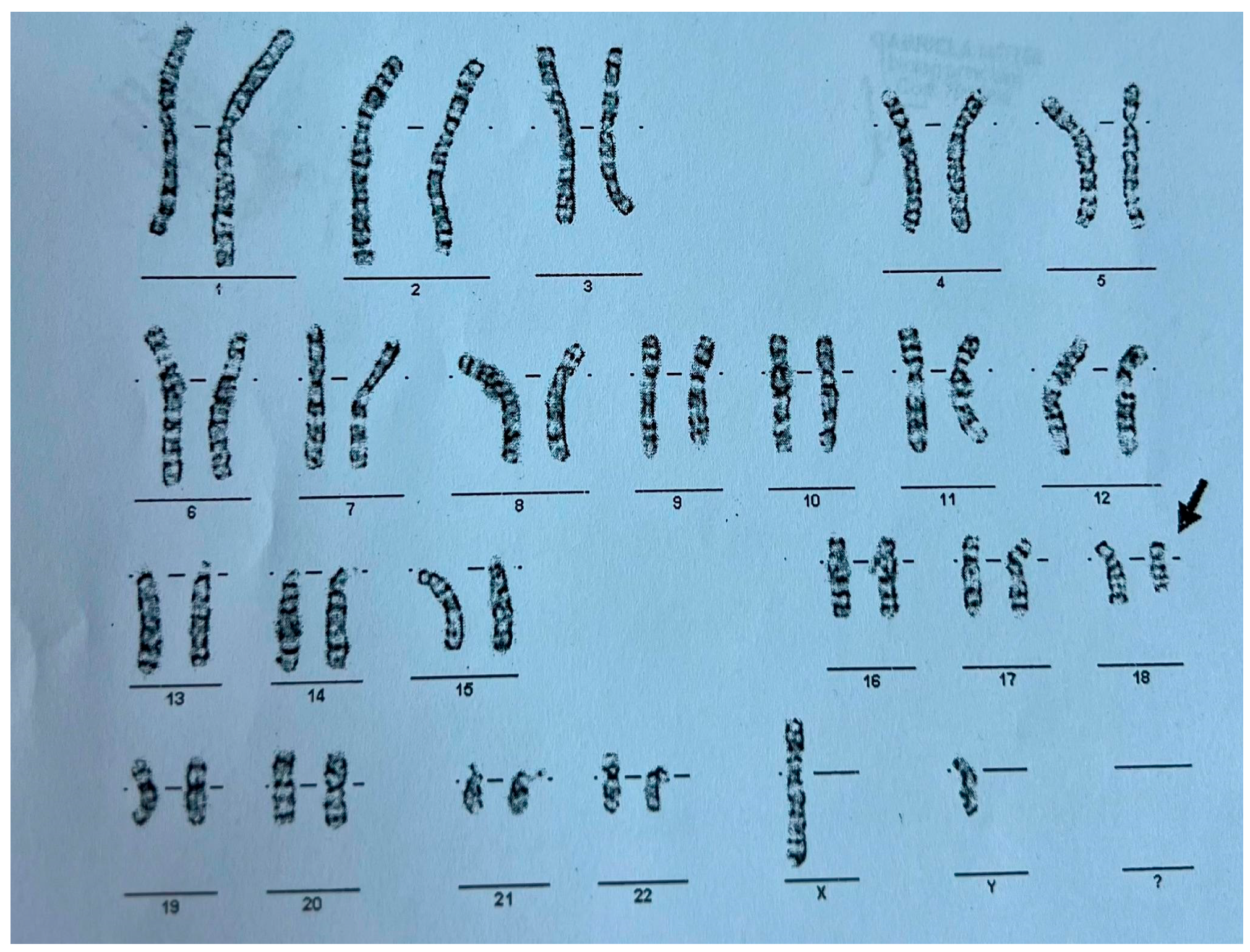 Reports 08 00084 g001