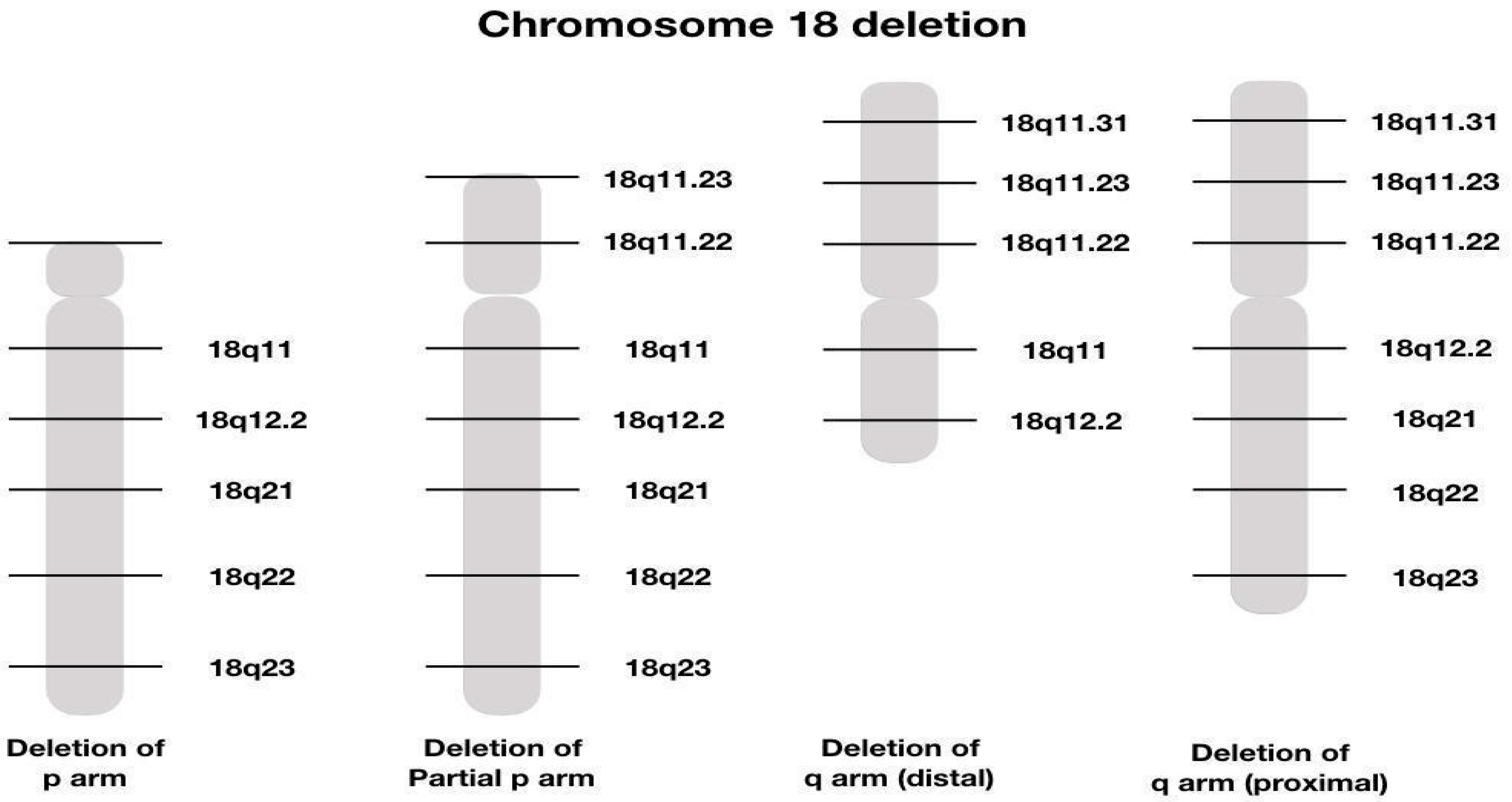 Reports 08 00084 g005