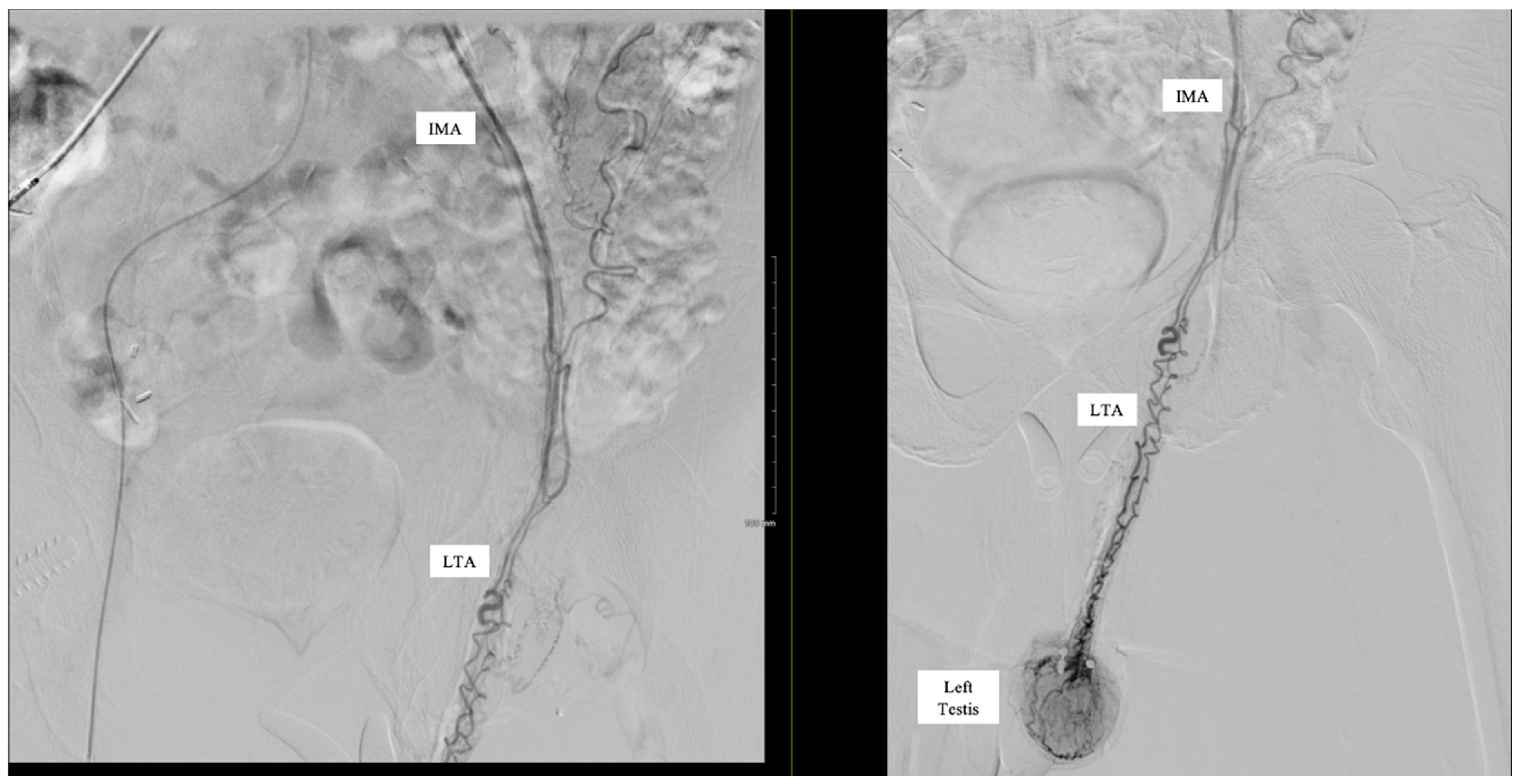 Reports 08 00086 g001 Reports 08 00086 g001