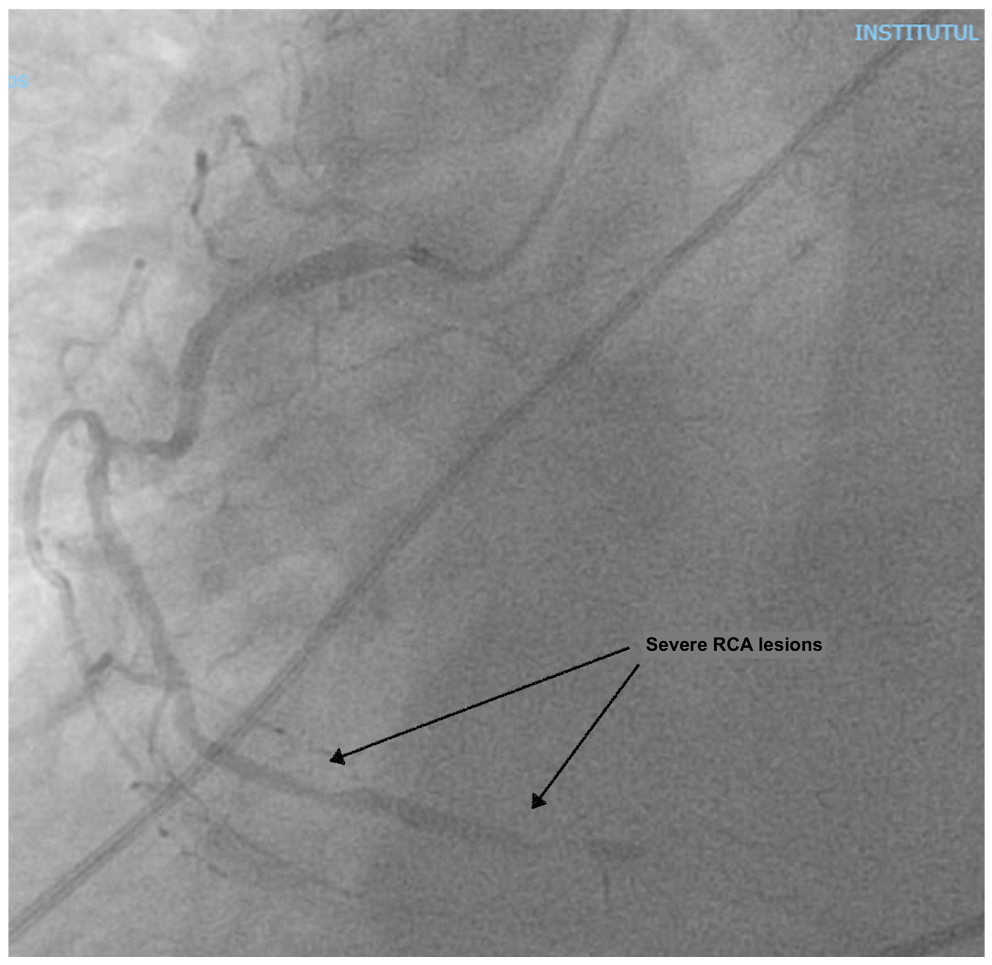 Reports 08 00087 g001