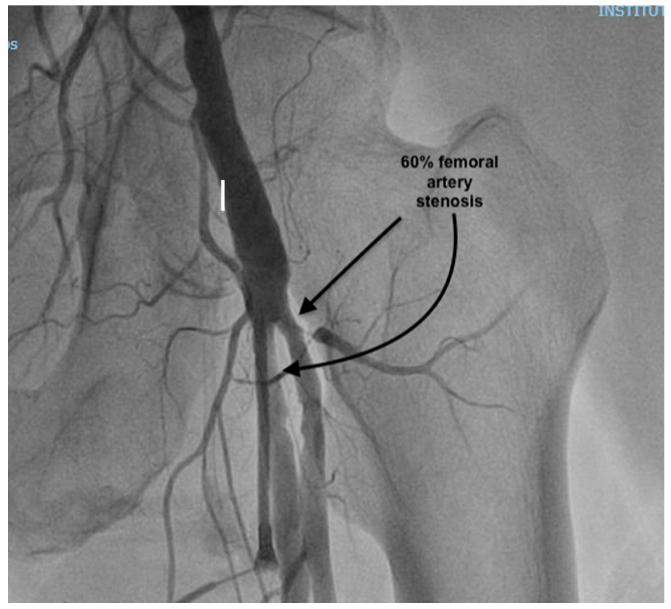 Reports 08 00087 g002