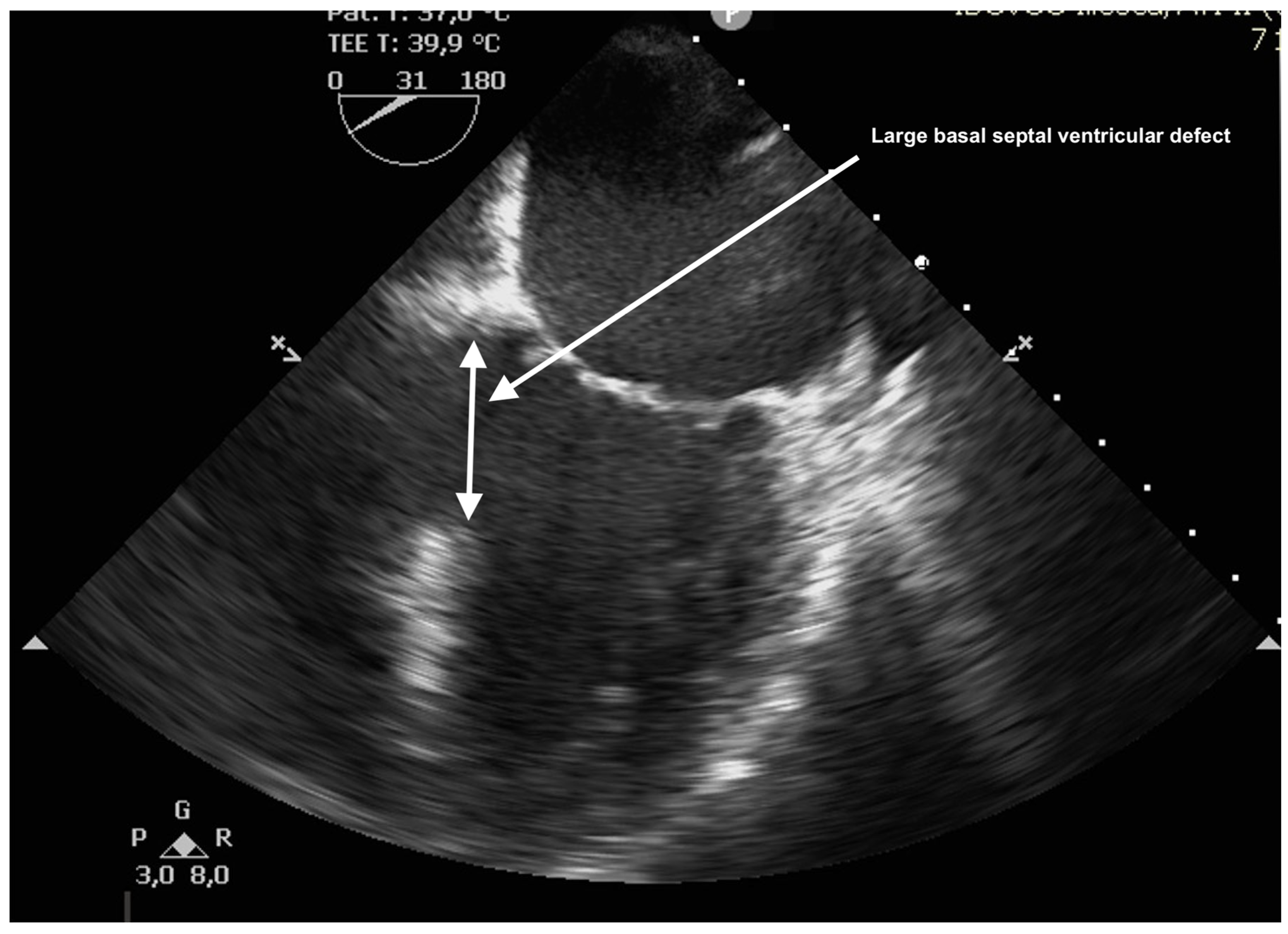 Reports 08 00087 g003