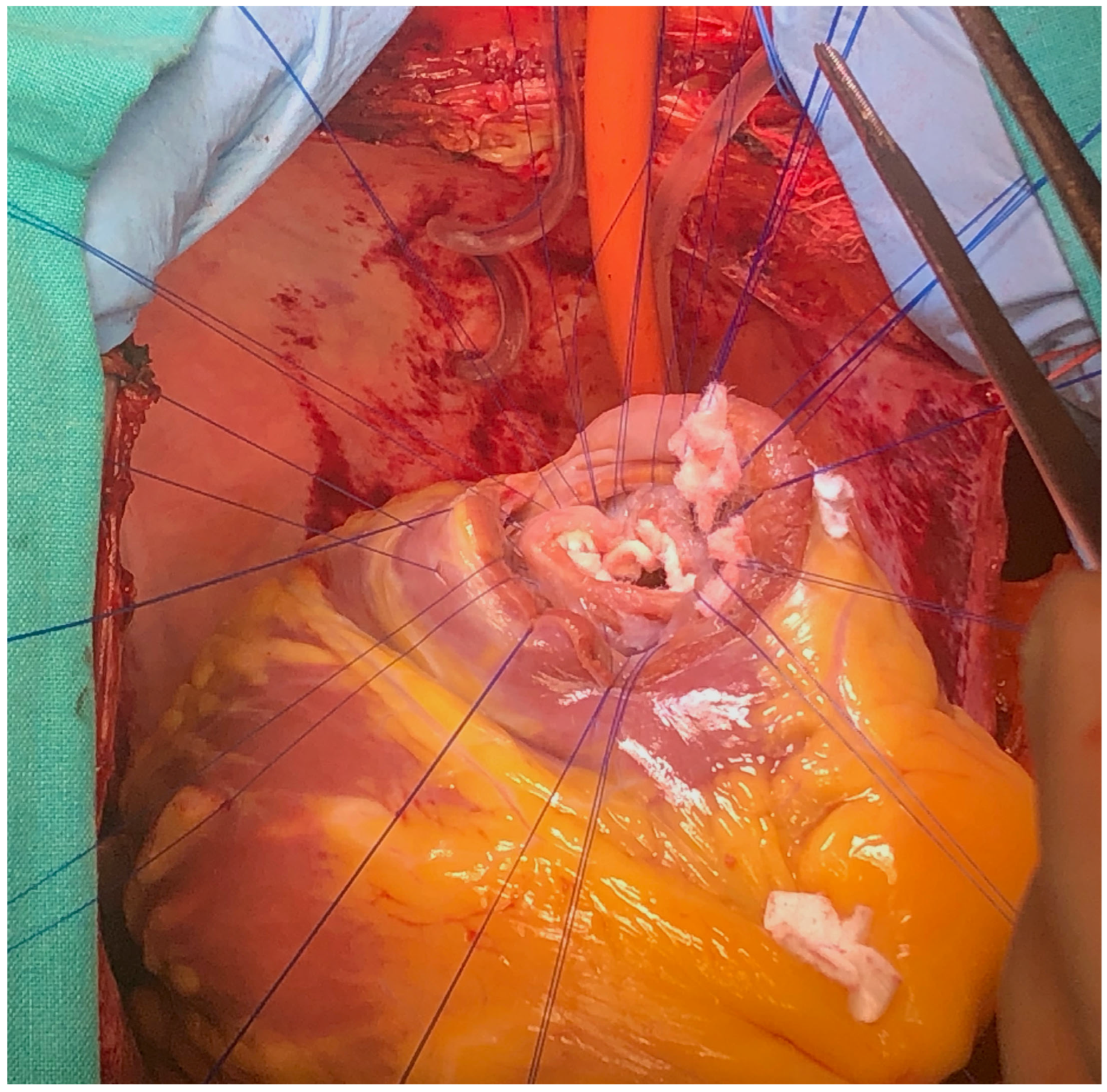 Reports 08 00087 g005