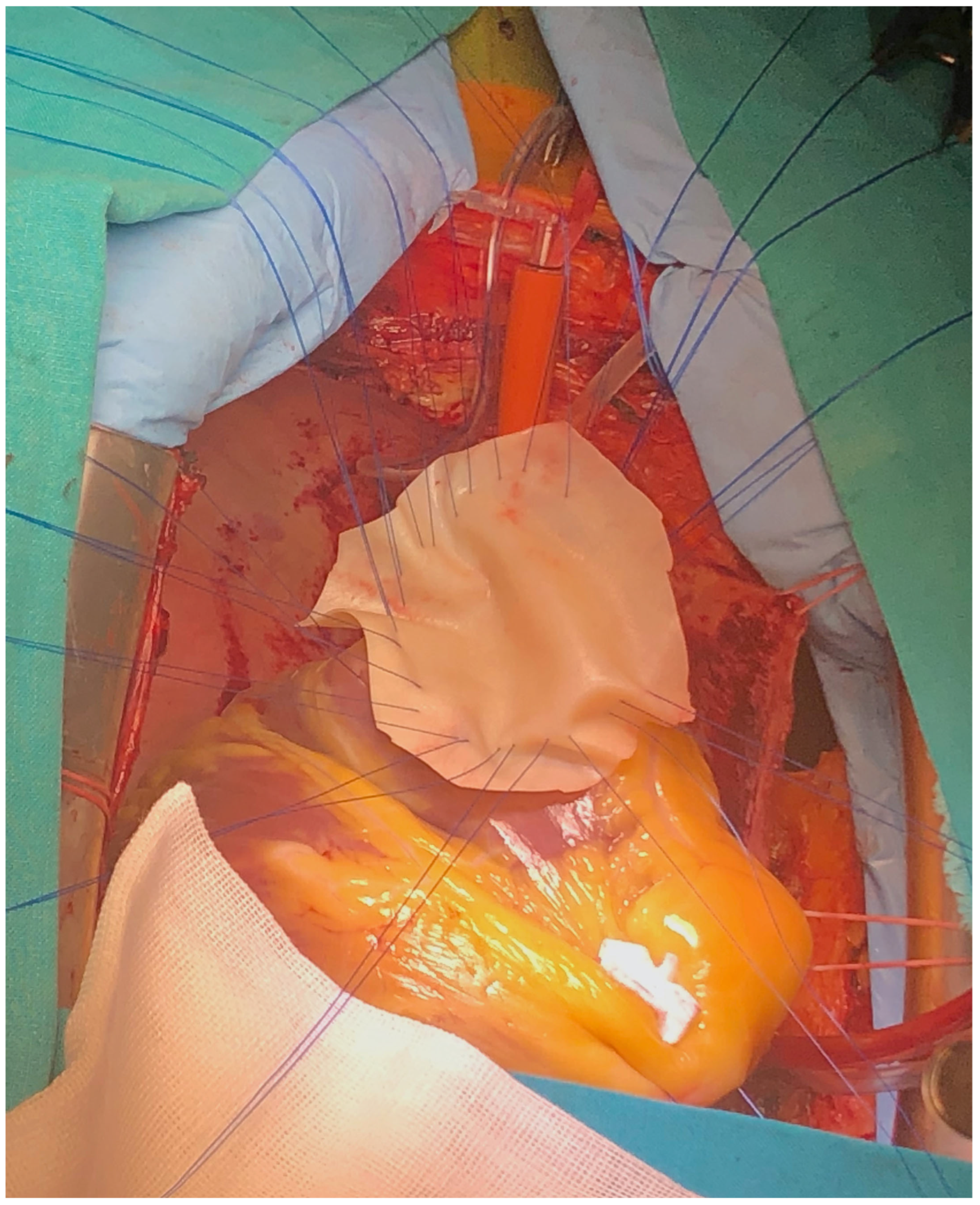 Reports 08 00087 g006