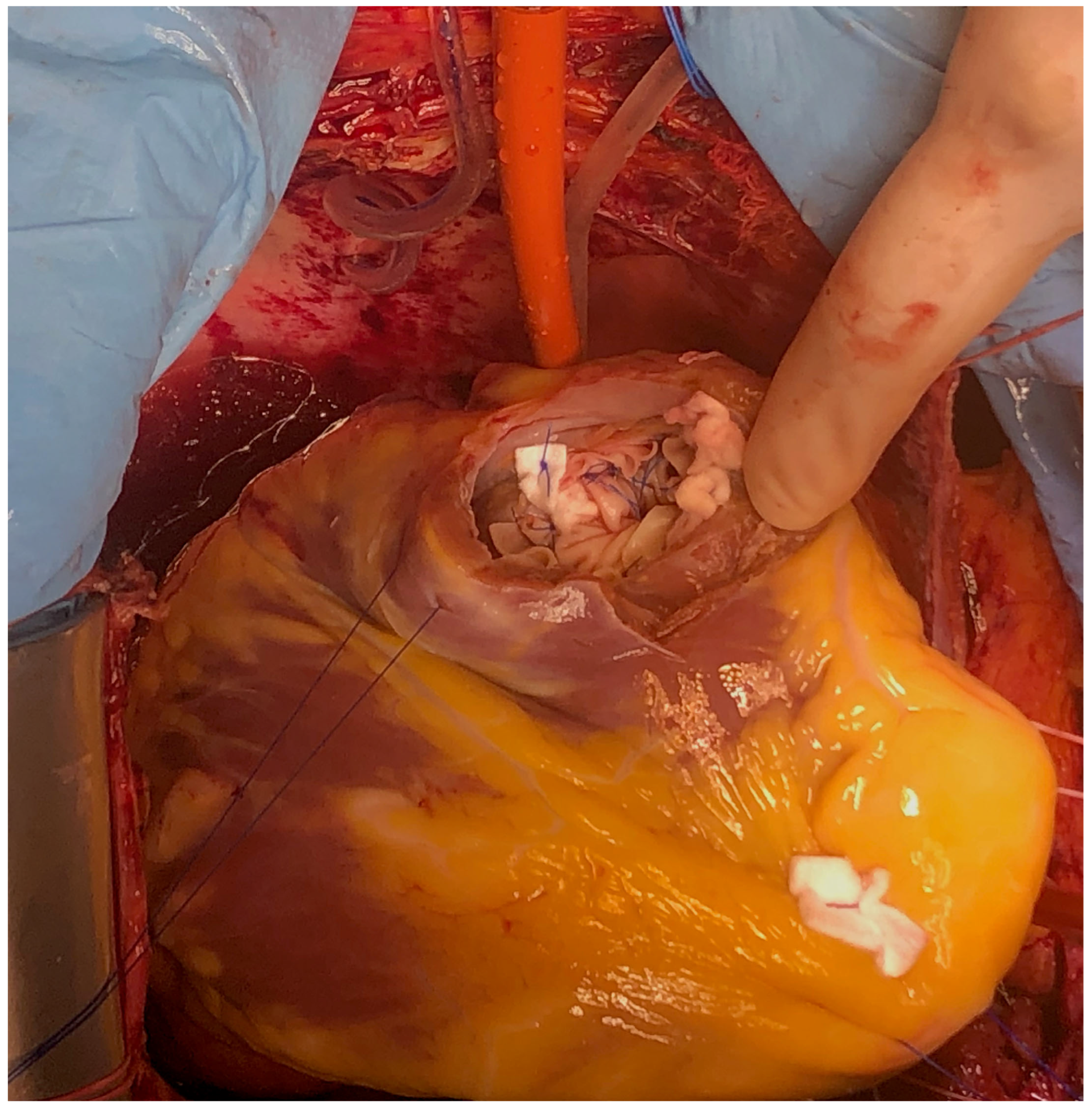 Reports 08 00087 g007