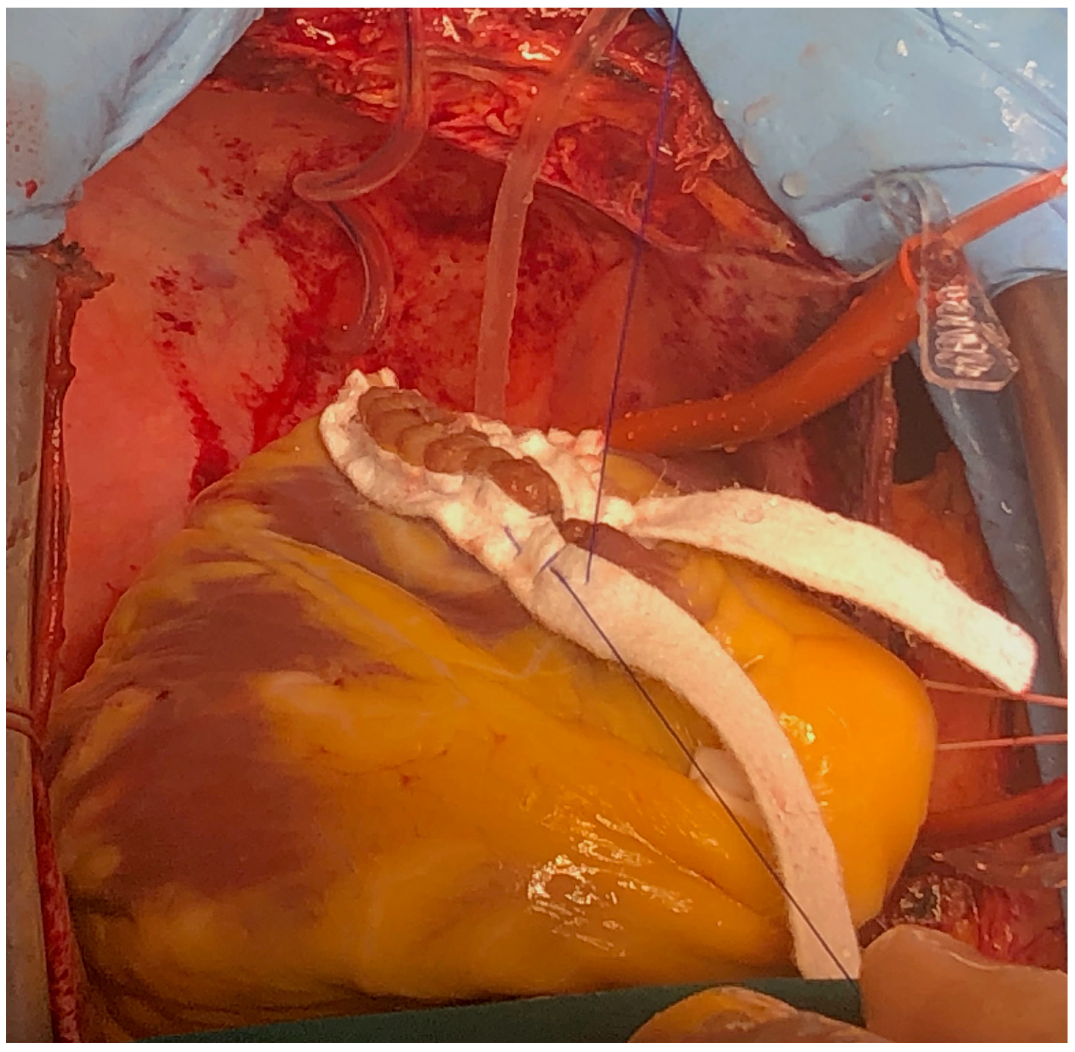 Reports 08 00087 g008