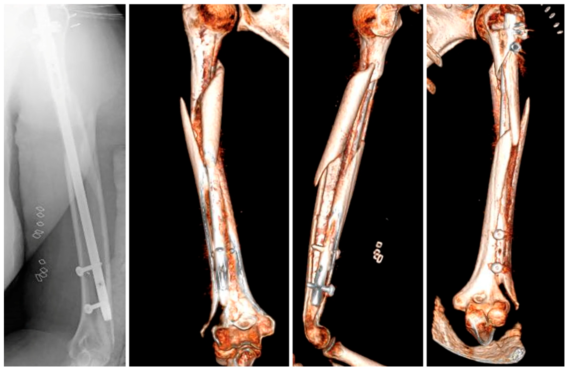 Reports 08 00089 g002