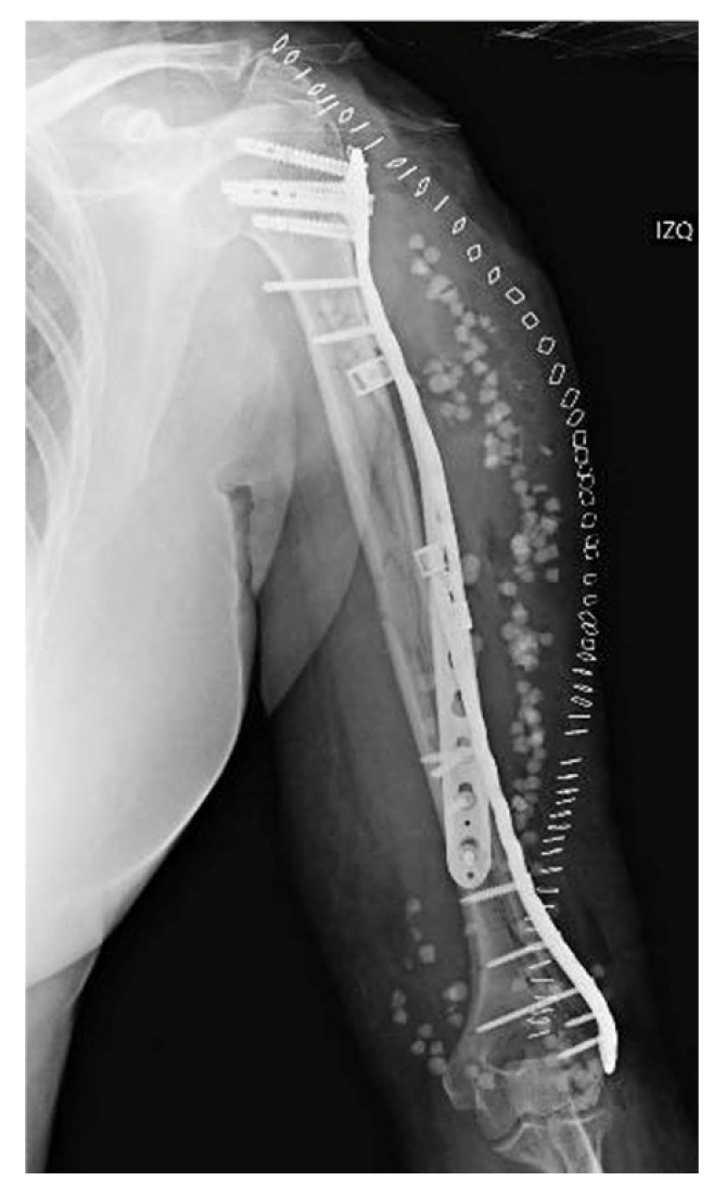 Reports 08 00089 g004