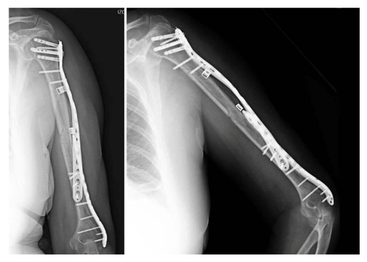 Reports 08 00089 g005