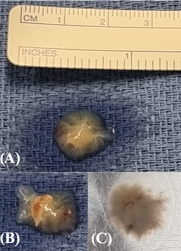 Reports 08 00090 g003