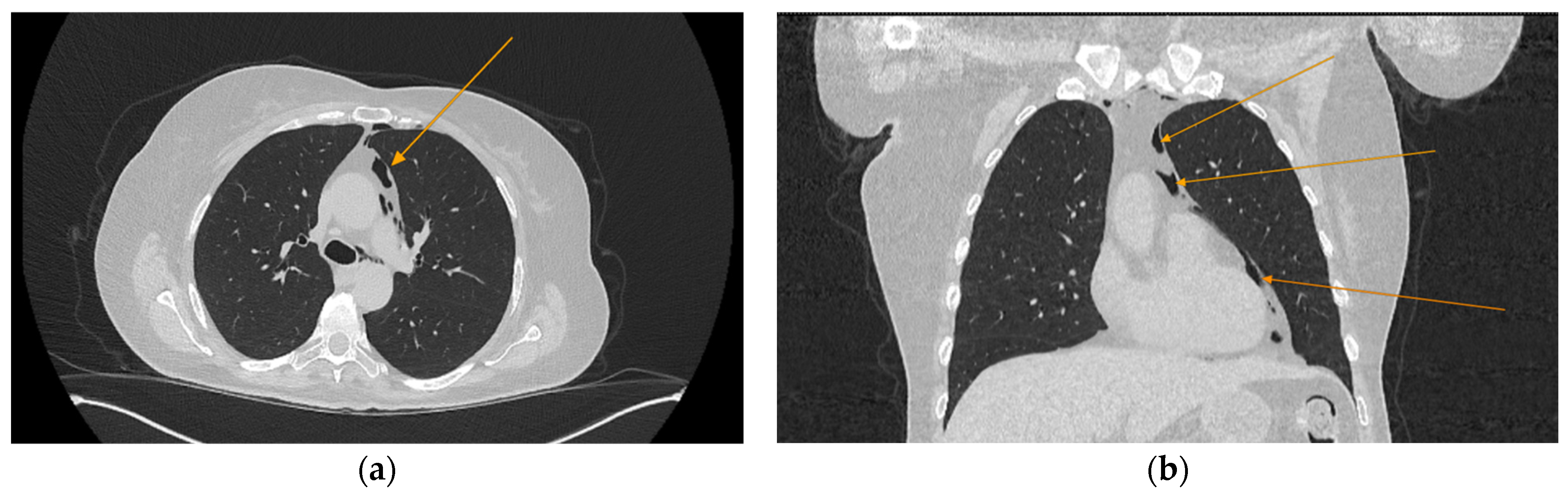 Reports 08 00095 g001