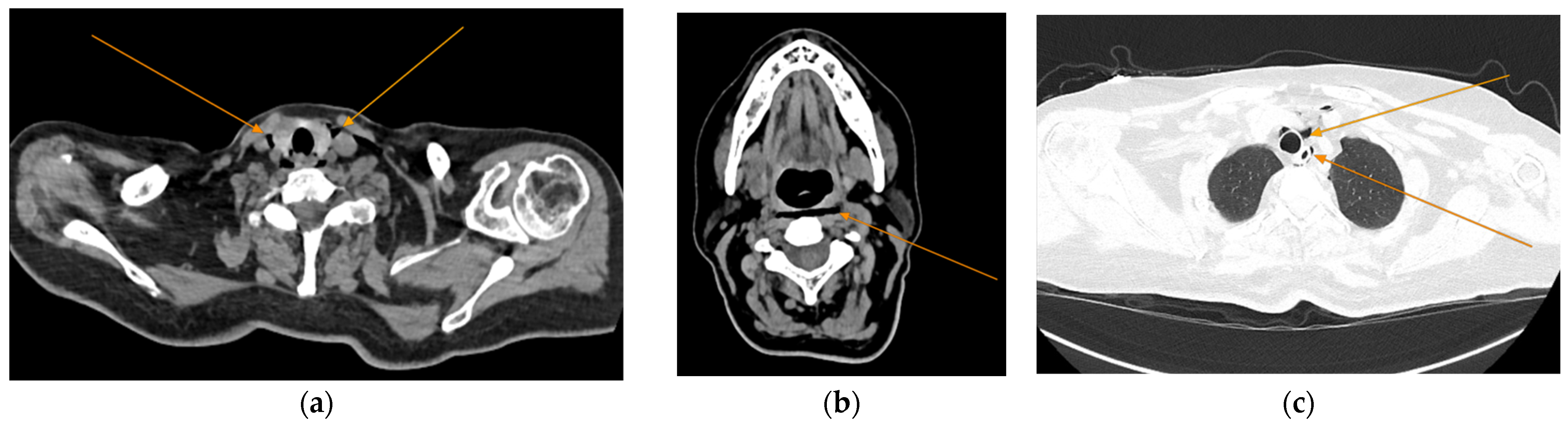 Reports 08 00095 g003