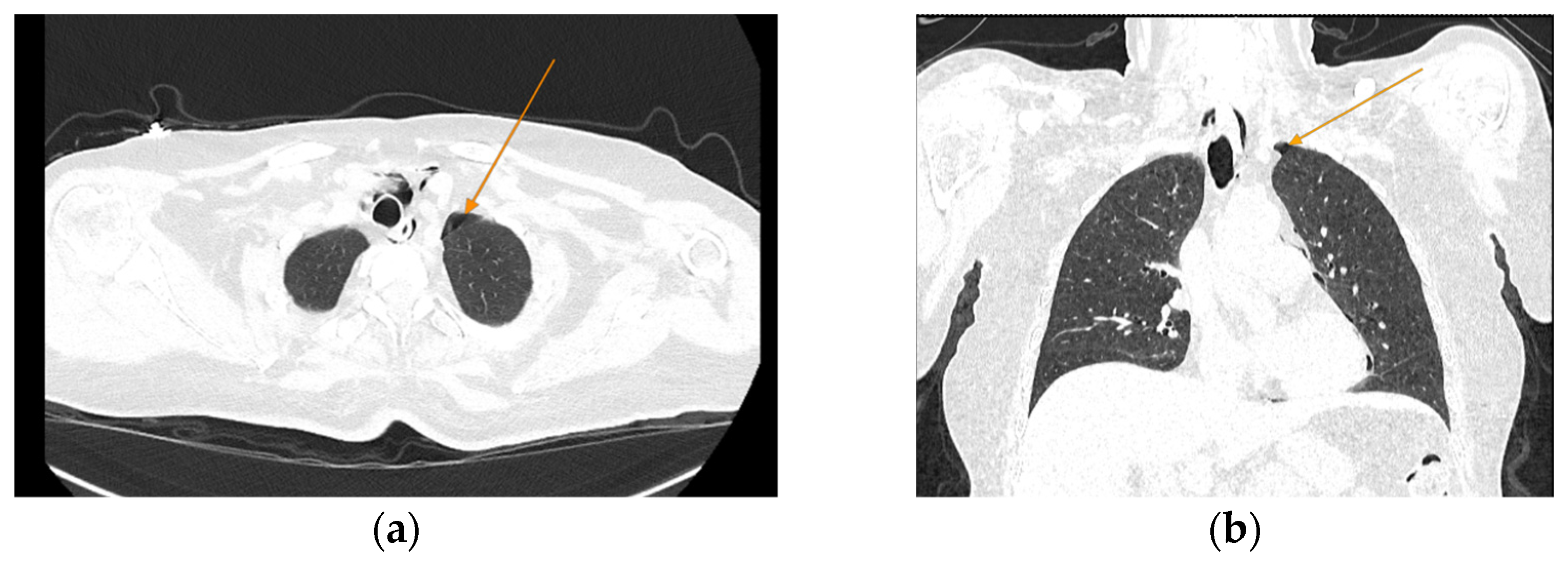 Reports 08 00095 g005