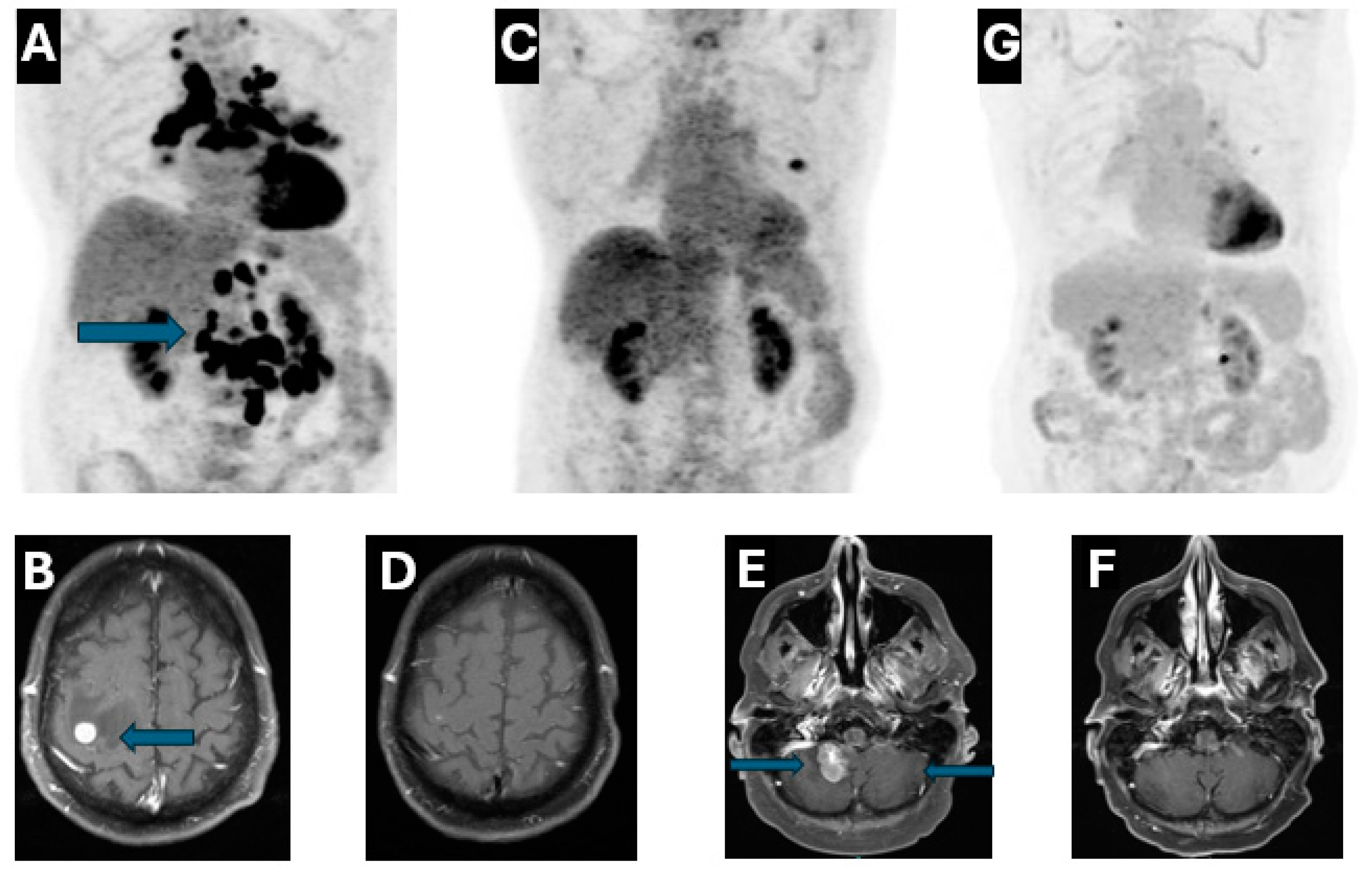 Reports 08 00096 g001