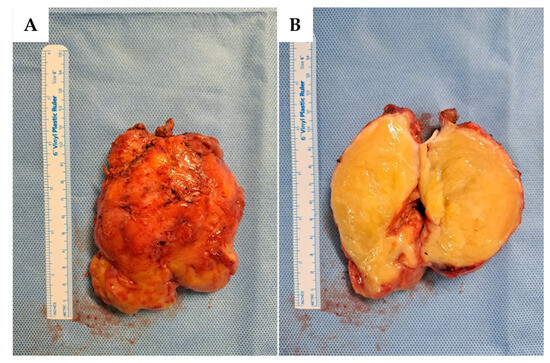 Reports 08 00099 g005