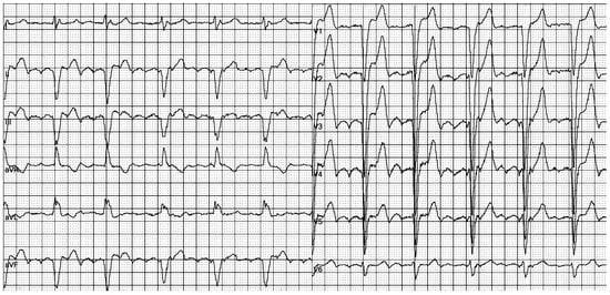 Reports 08 00109 g001