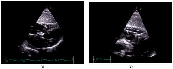 Reports 08 00109 g003b