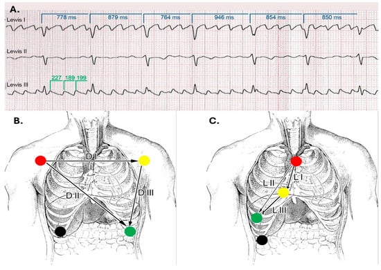 Reports 08 00109 g011