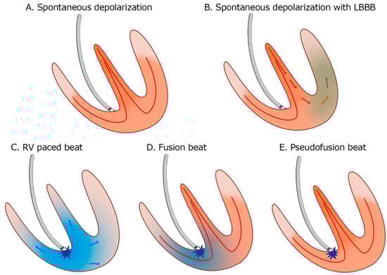 Reports 08 00109 g013