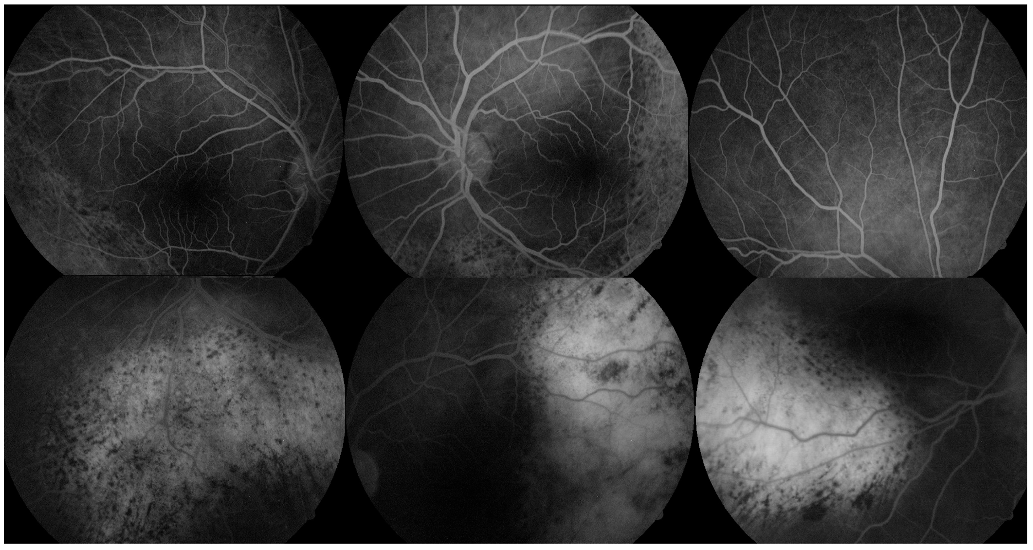 Reports 08 00114 g002