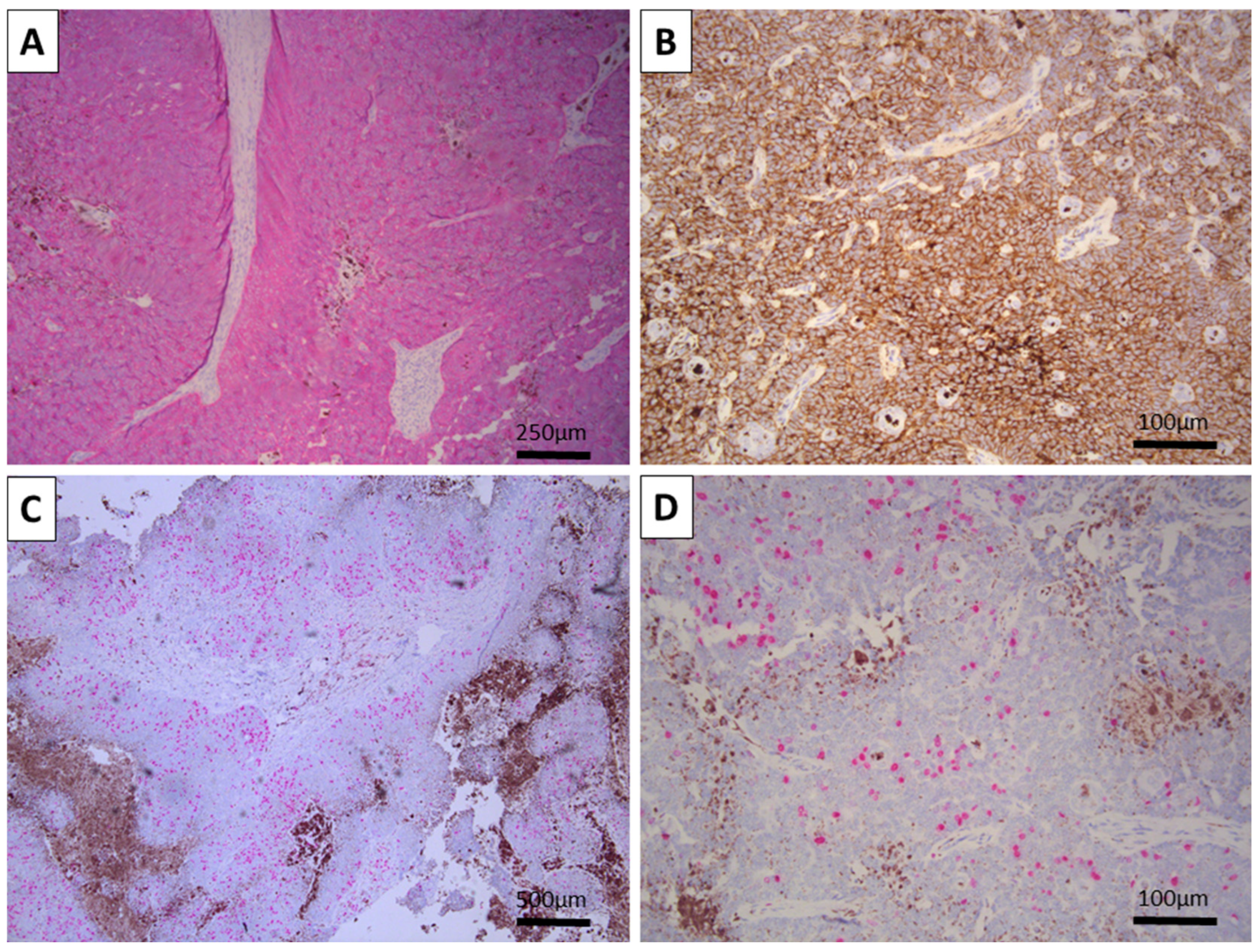 Reports 08 00130 g002