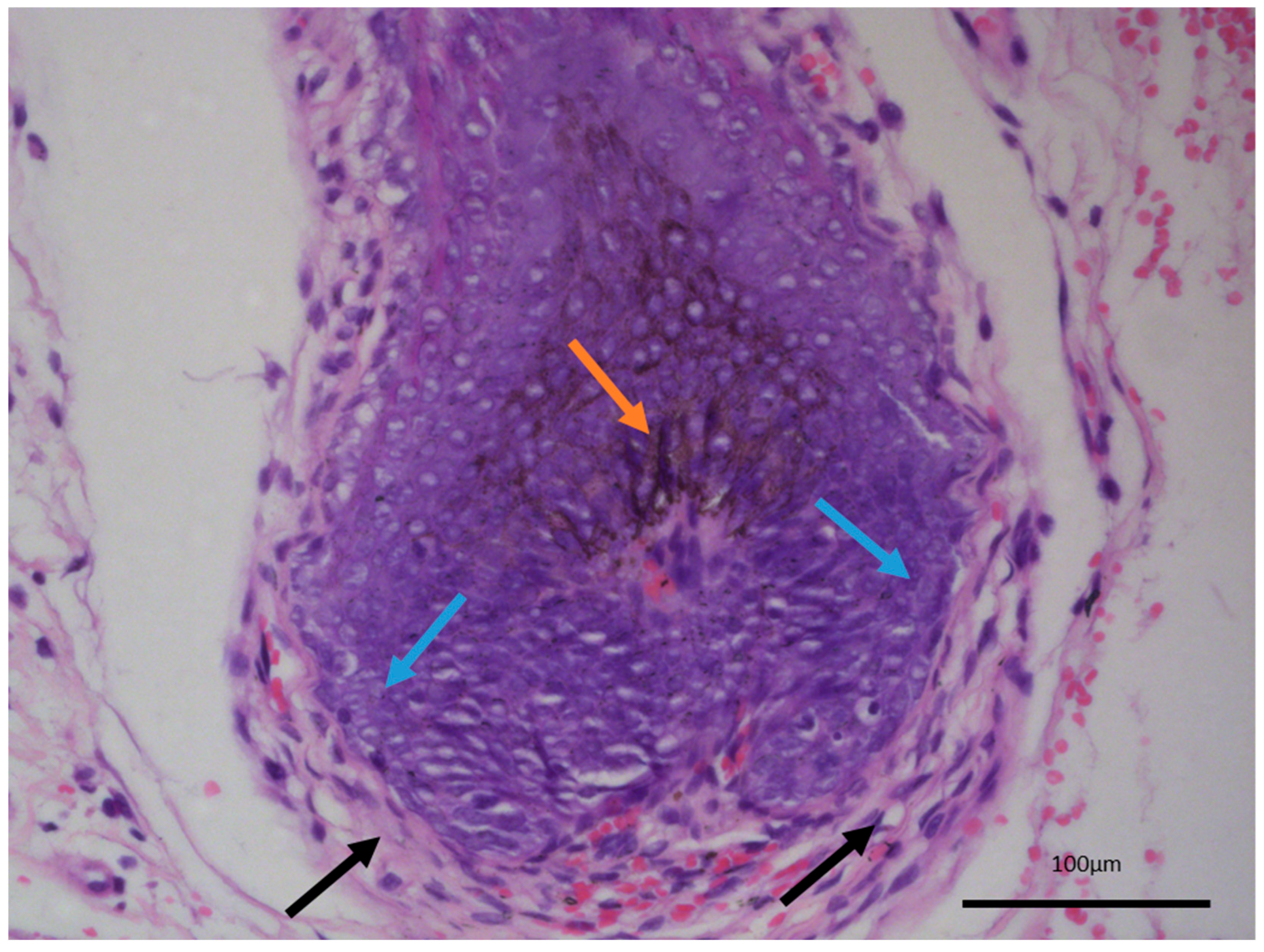 Reports 08 00130 g004