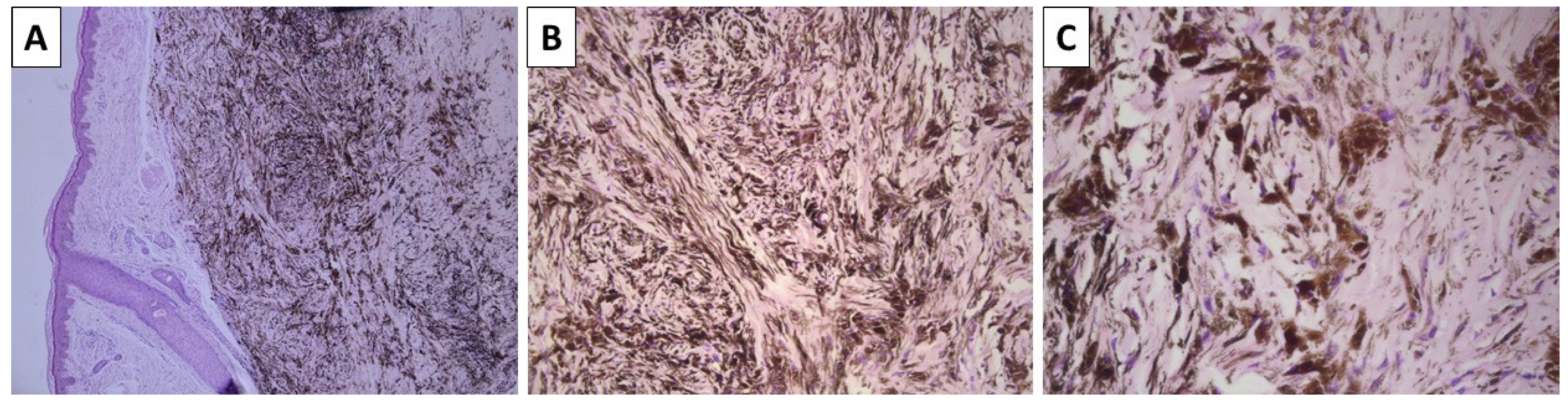 Reports 08 00131 g001