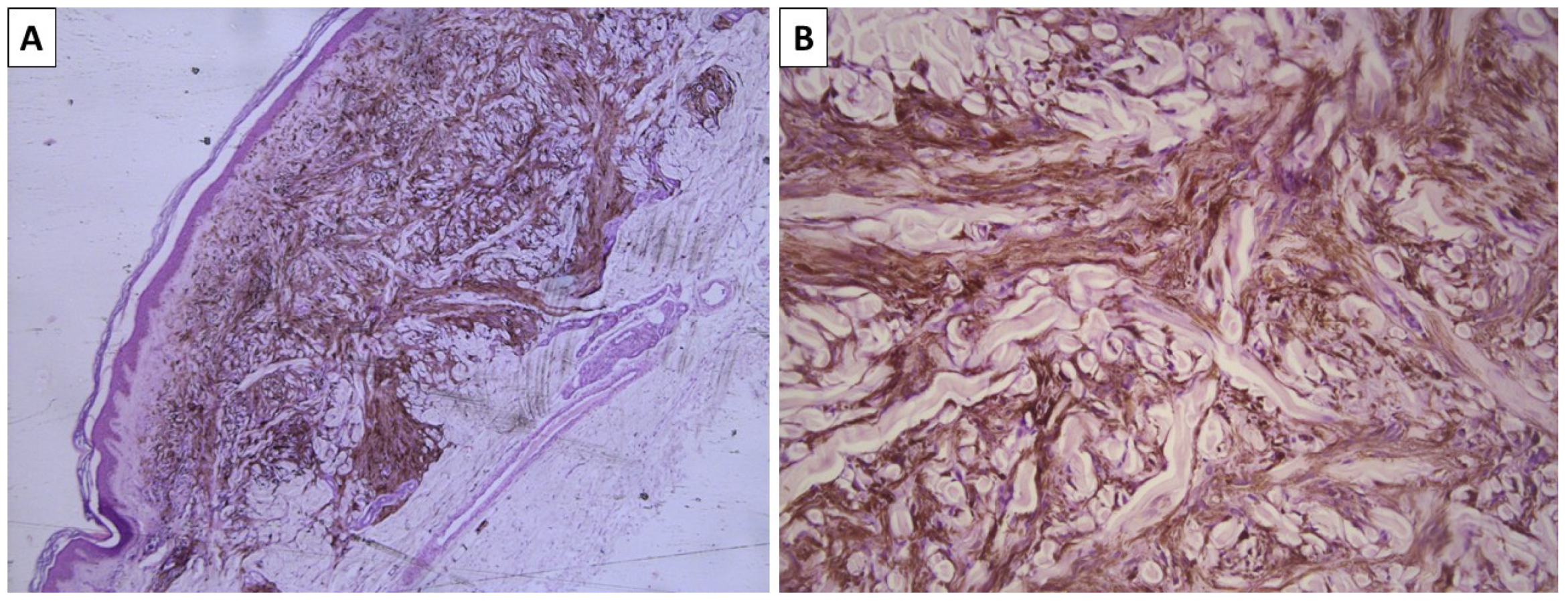 Reports 08 00131 g002