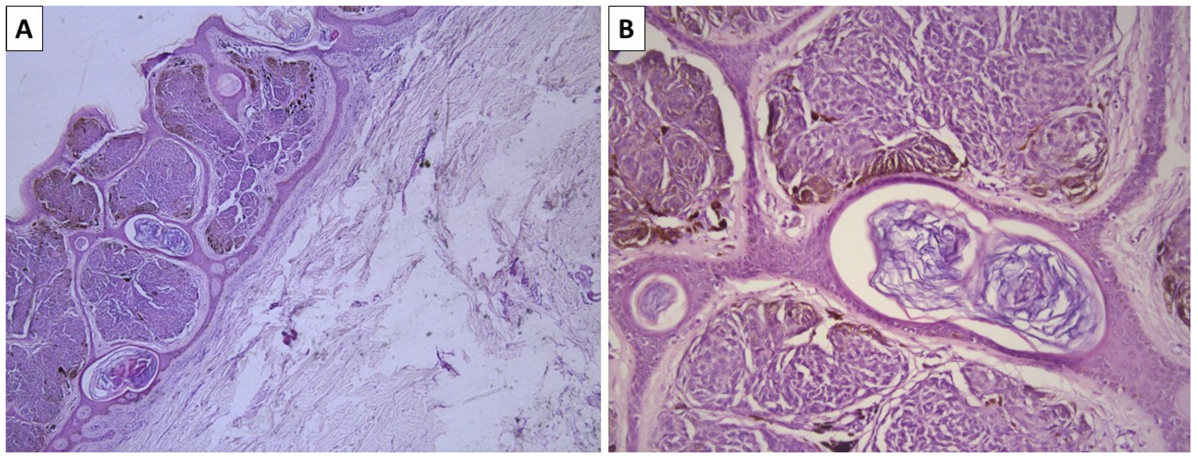 Reports 08 00131 g003