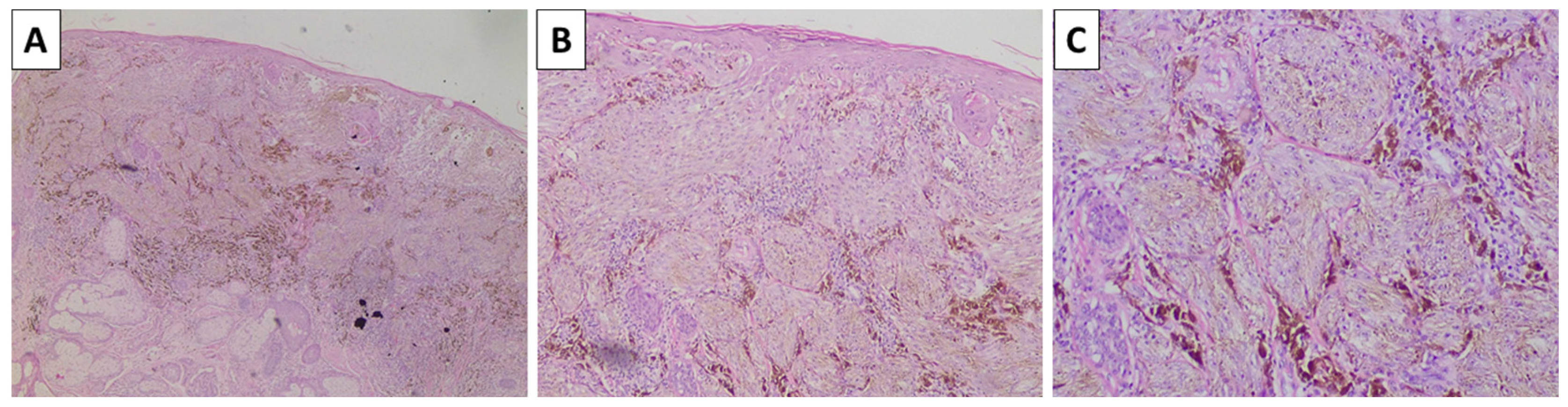 Reports 08 00131 g004