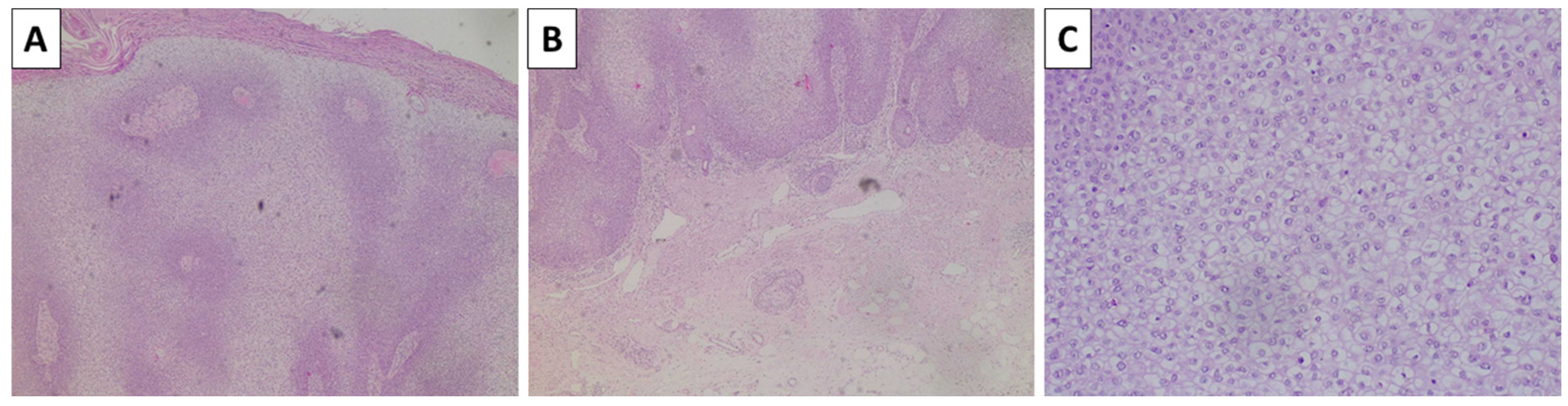 Reports 08 00131 g005