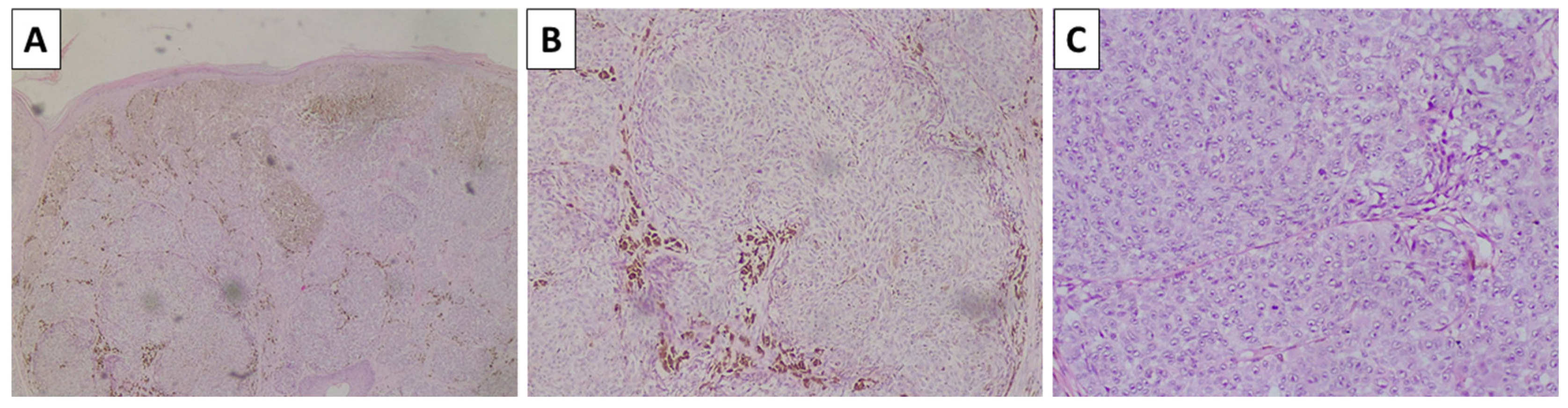 Reports 08 00131 g006