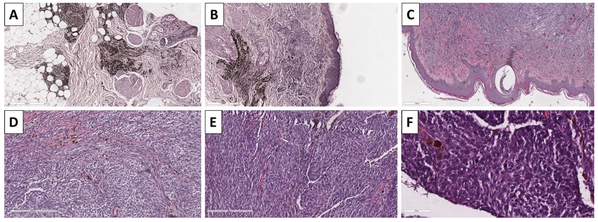 Reports 08 00131 g007