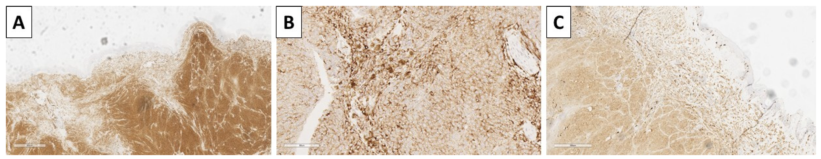 Reports 08 00131 g008