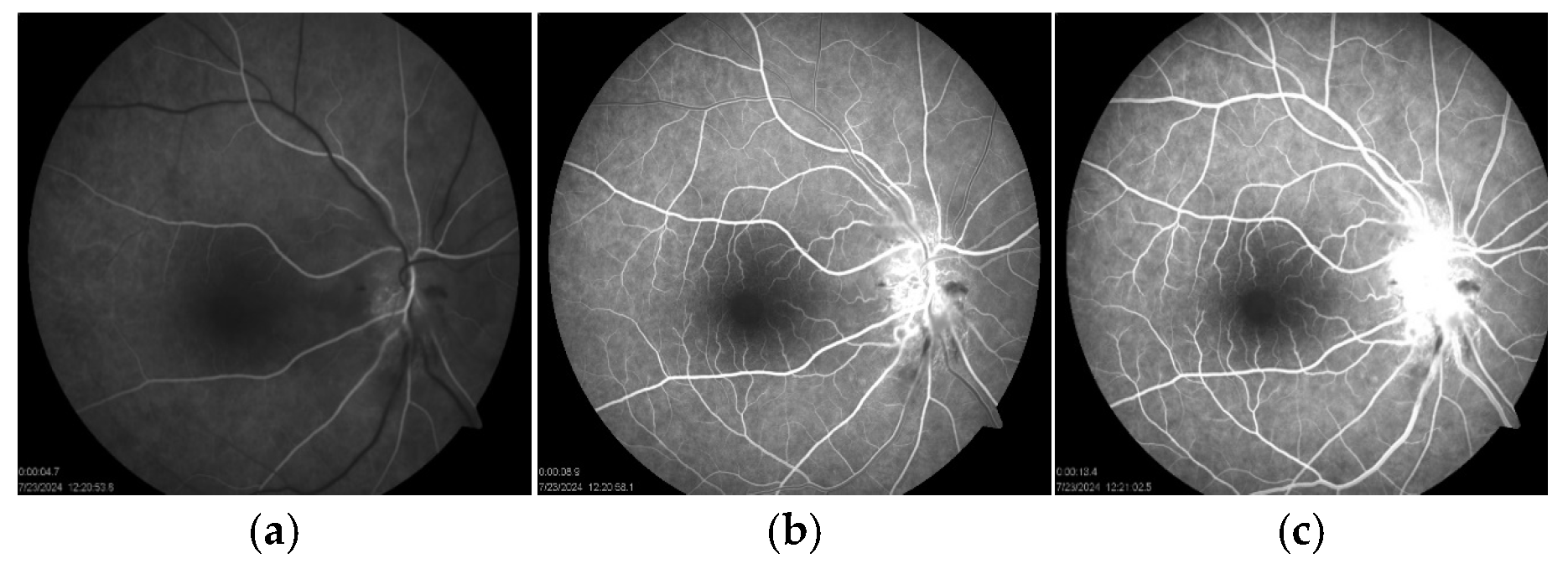 Reports 08 00149 g005