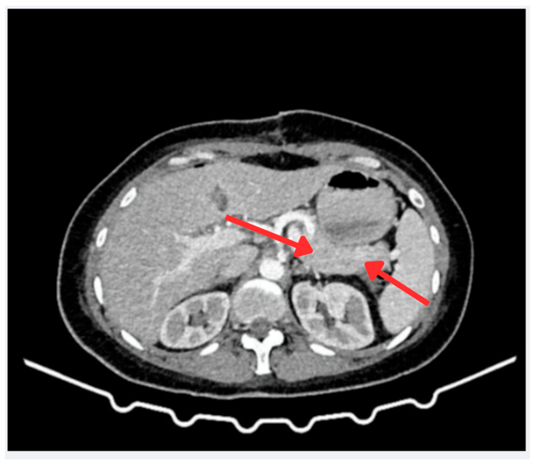 Reports 08 00175 g002