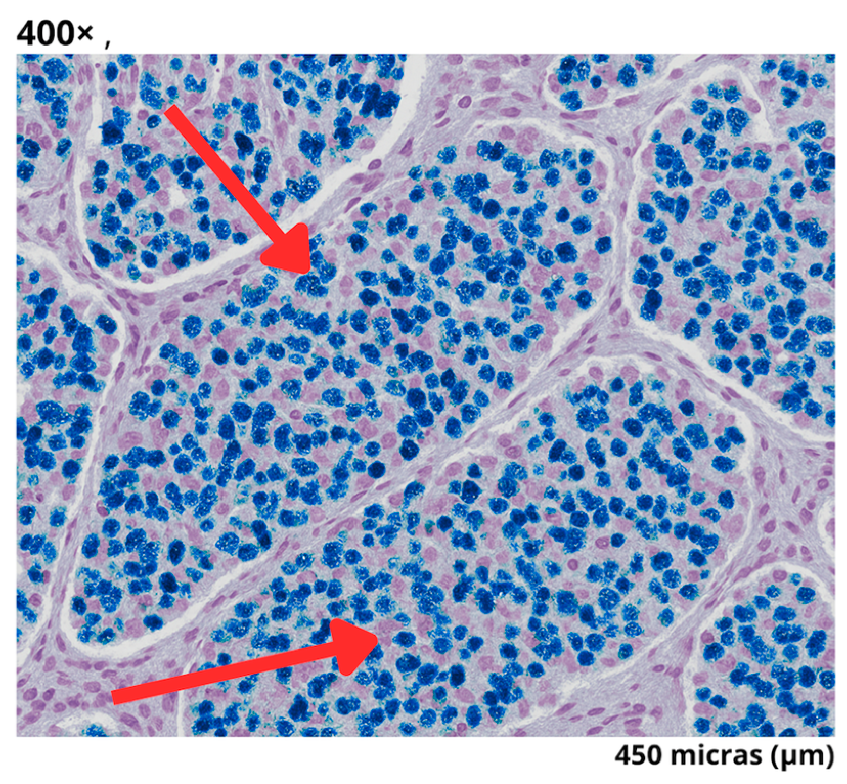 Reports 08 00175 g004