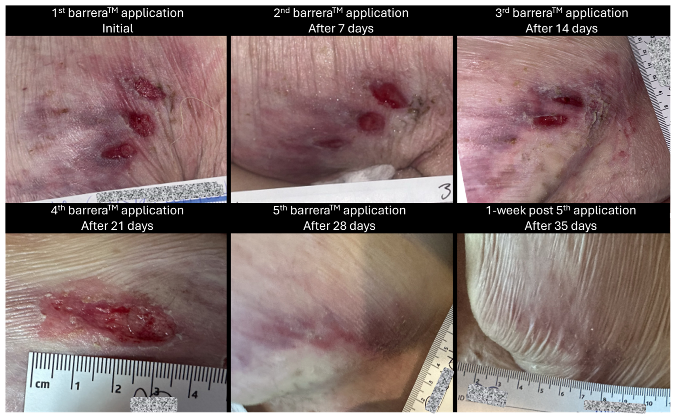 Reports 08 00199 g001