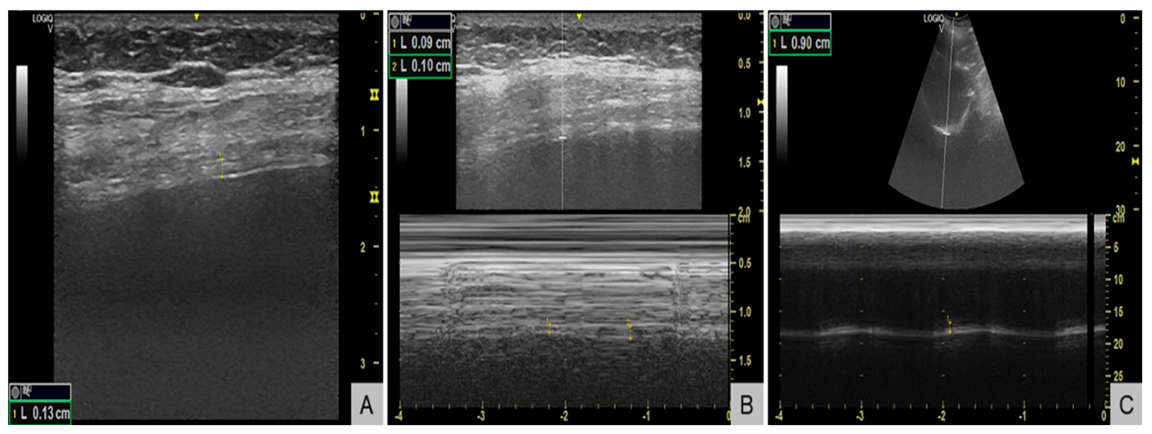 Reports 08 00209 g003