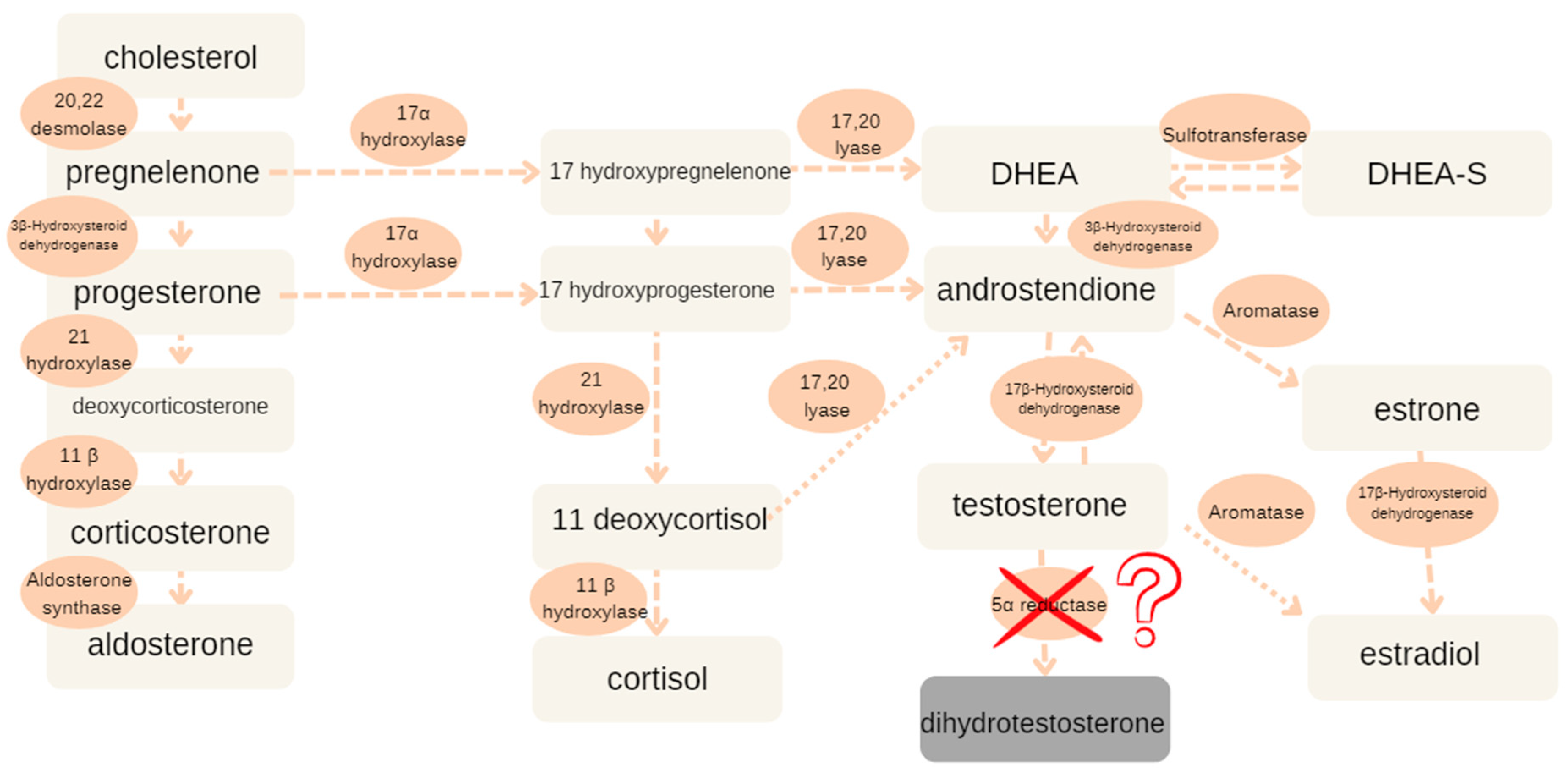 Reports 08 00212 g001