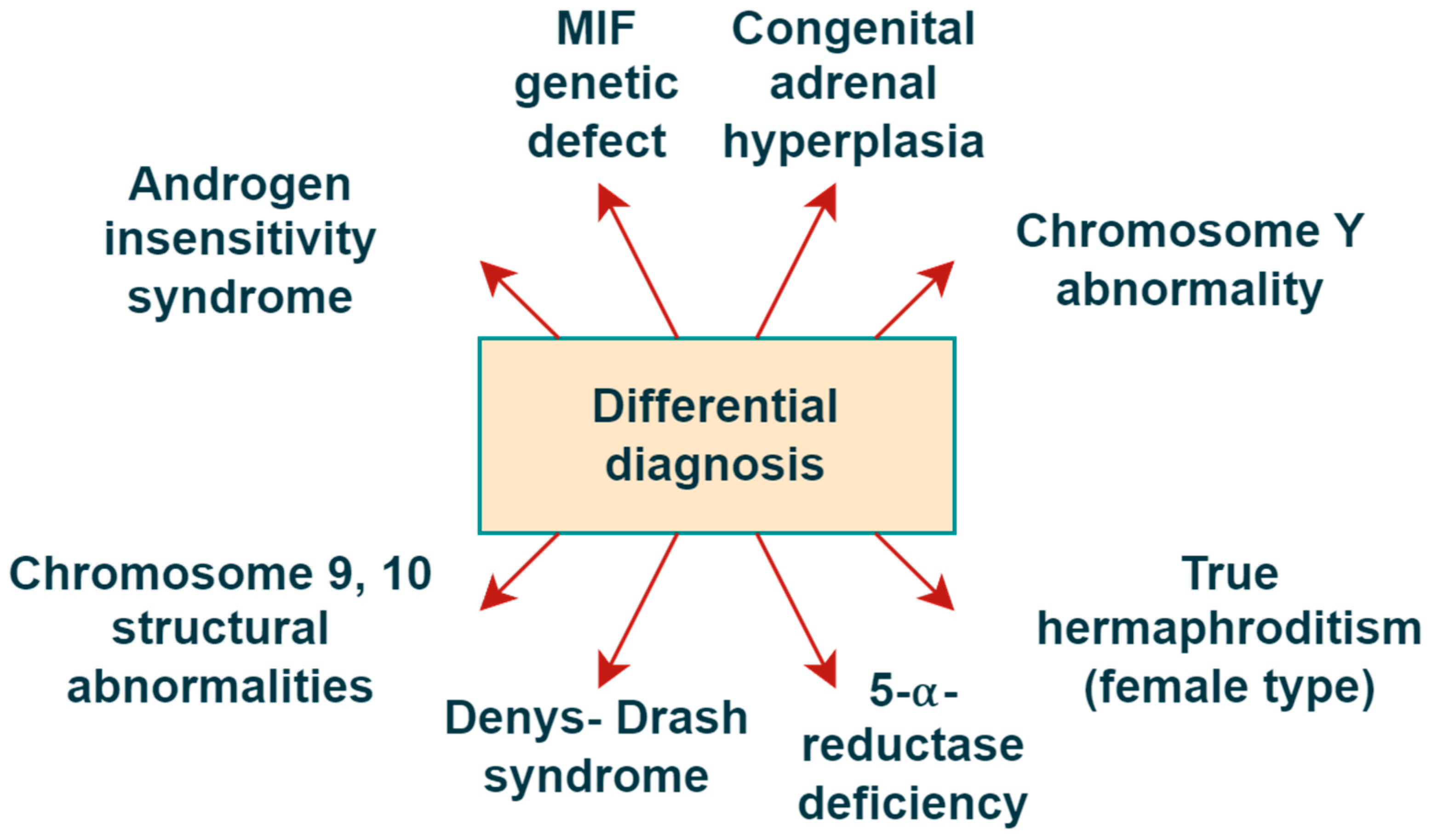 Reports 08 00212 g002