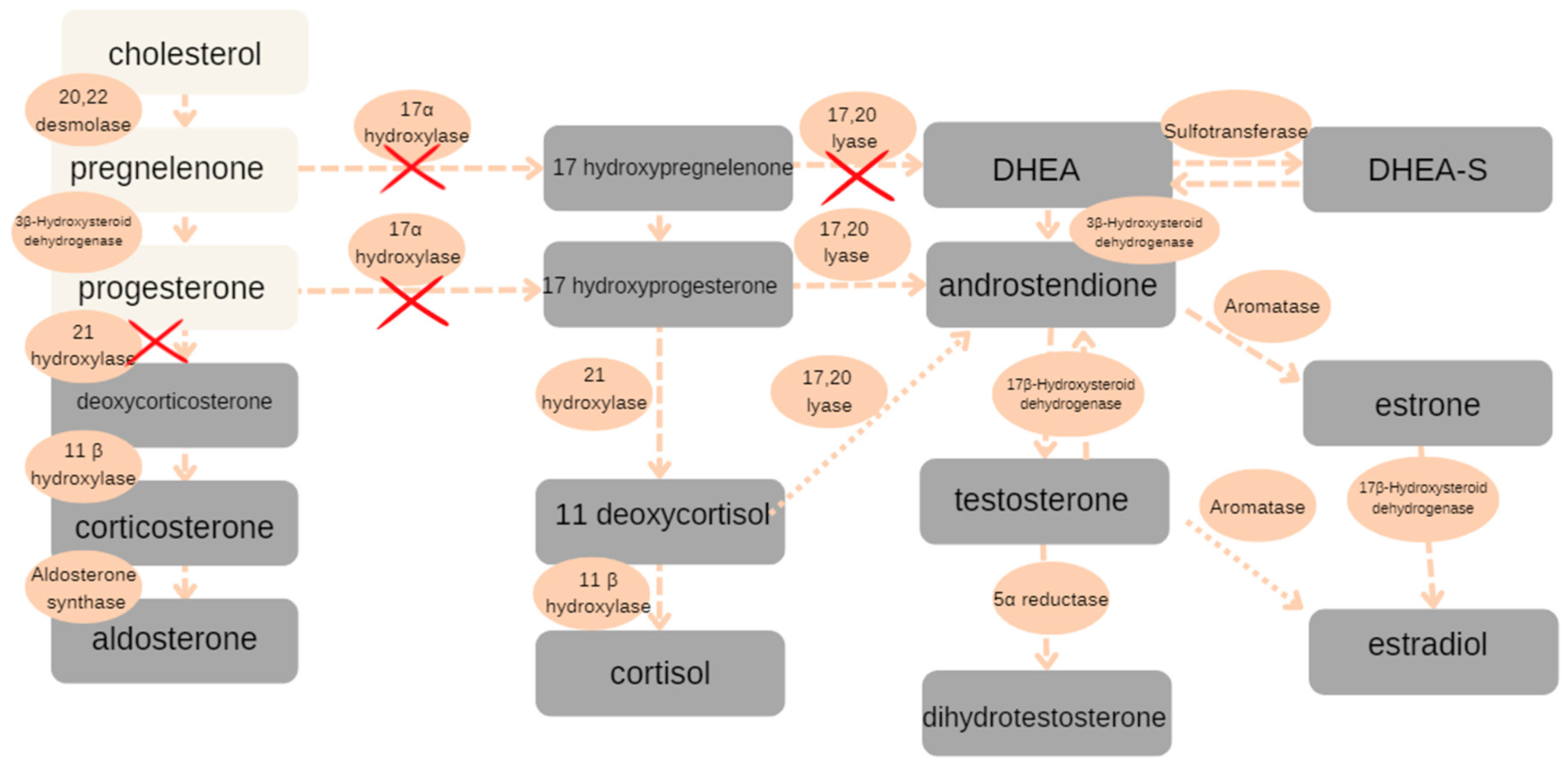 Reports 08 00212 g003