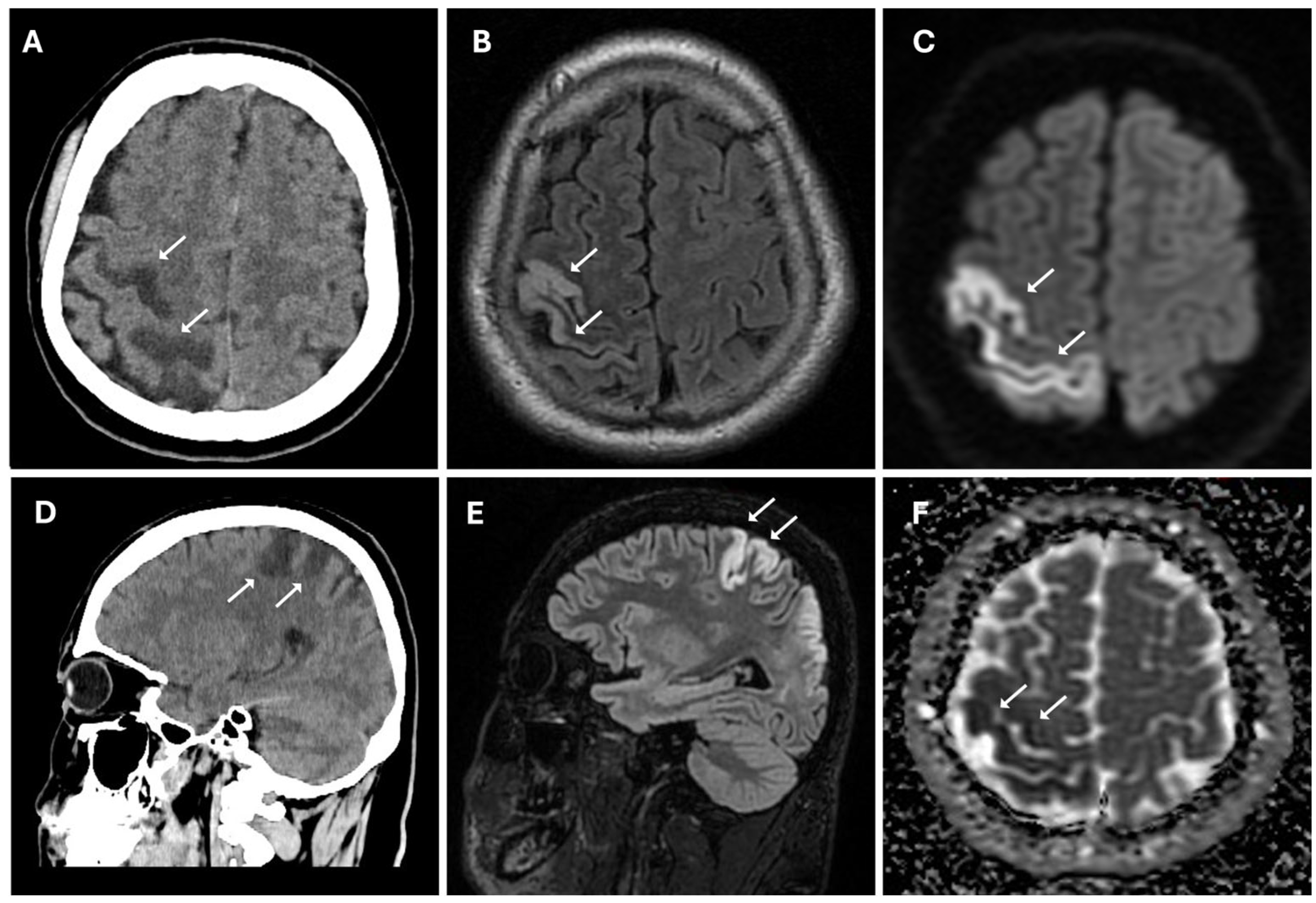 Reports 08 00232 g001