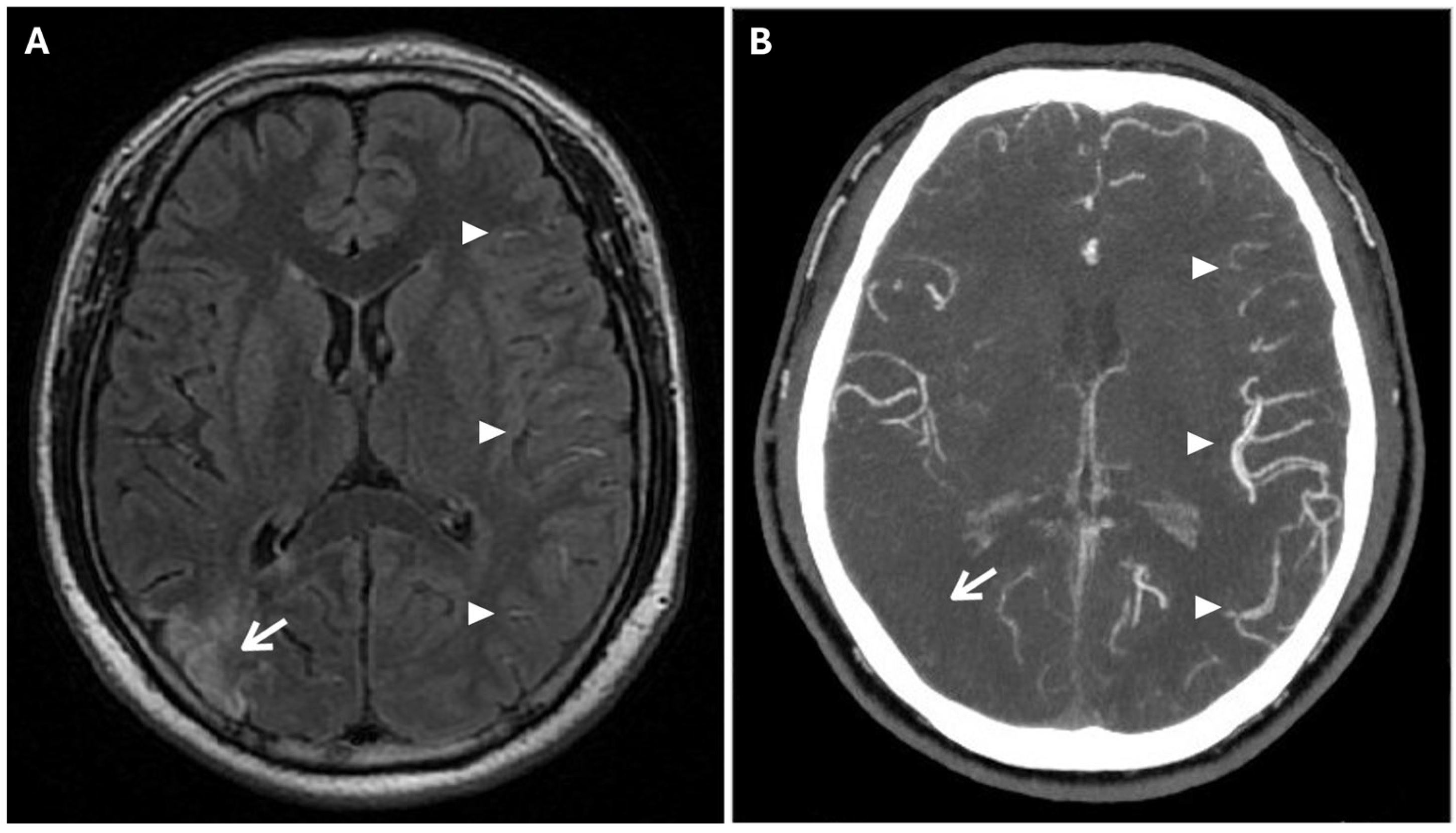 Reports 08 00232 g004